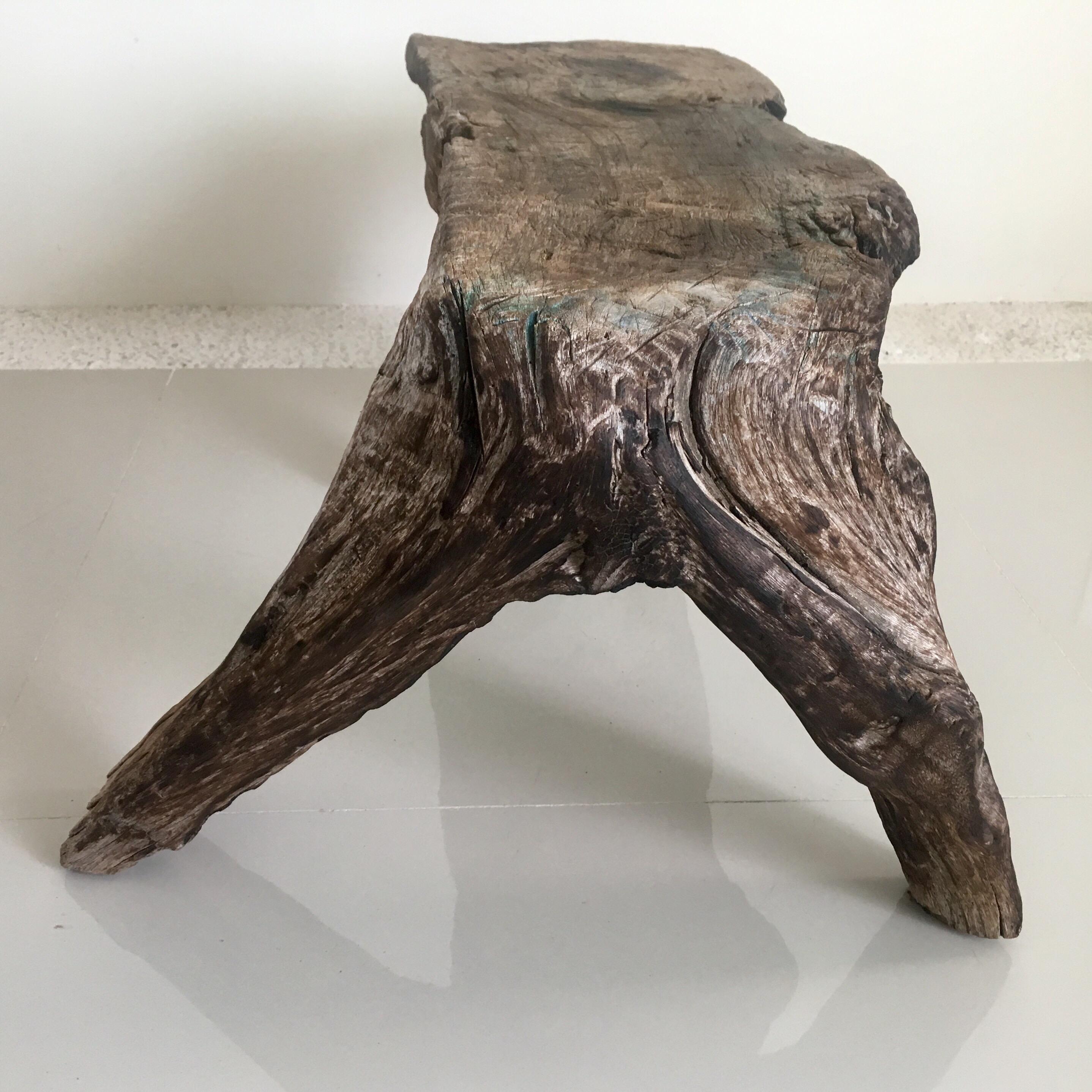 Wooden Bench Carved from One Piece of Mesquite 1