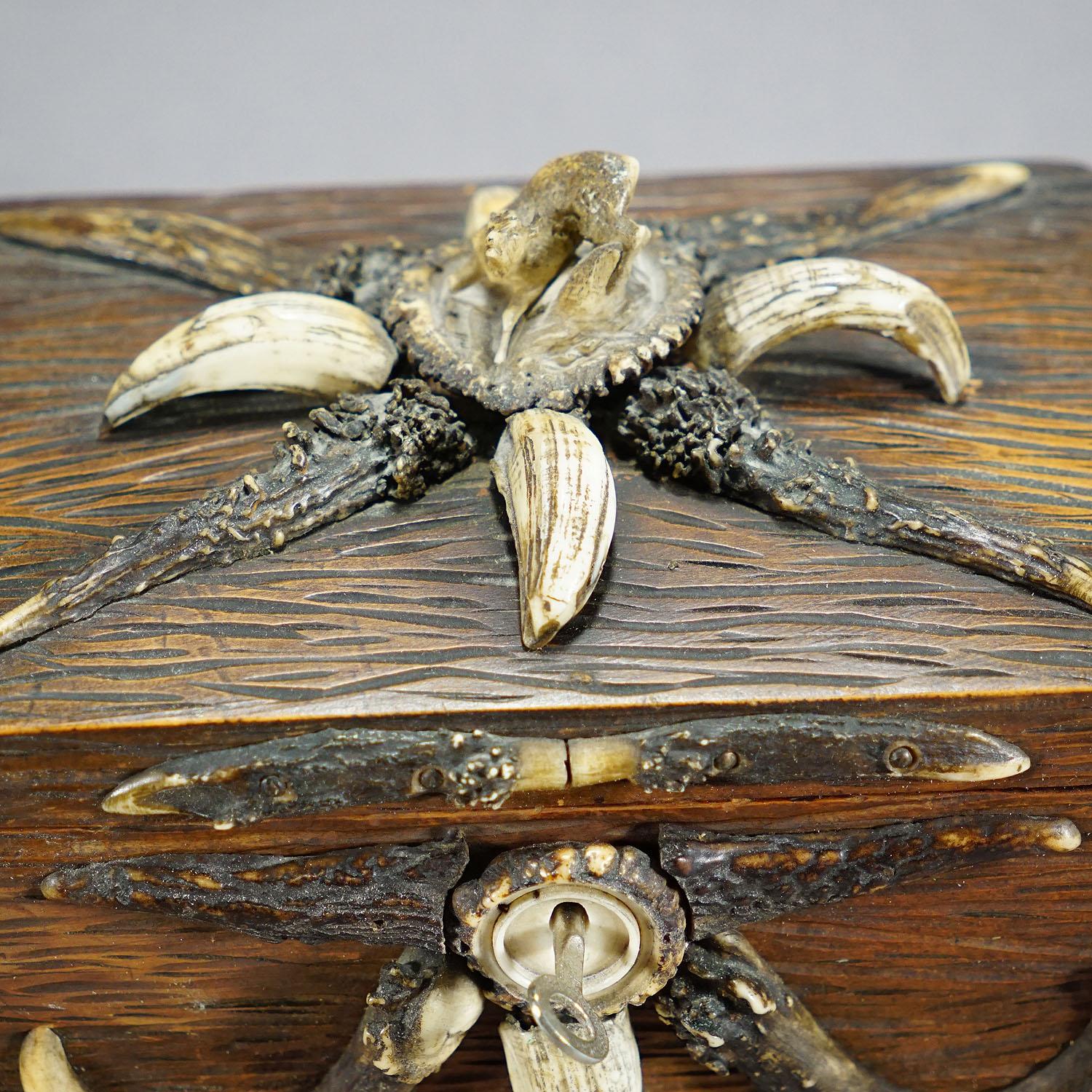 German Wooden Black Forest Casket with Antlers Decoration circa 1900s For Sale