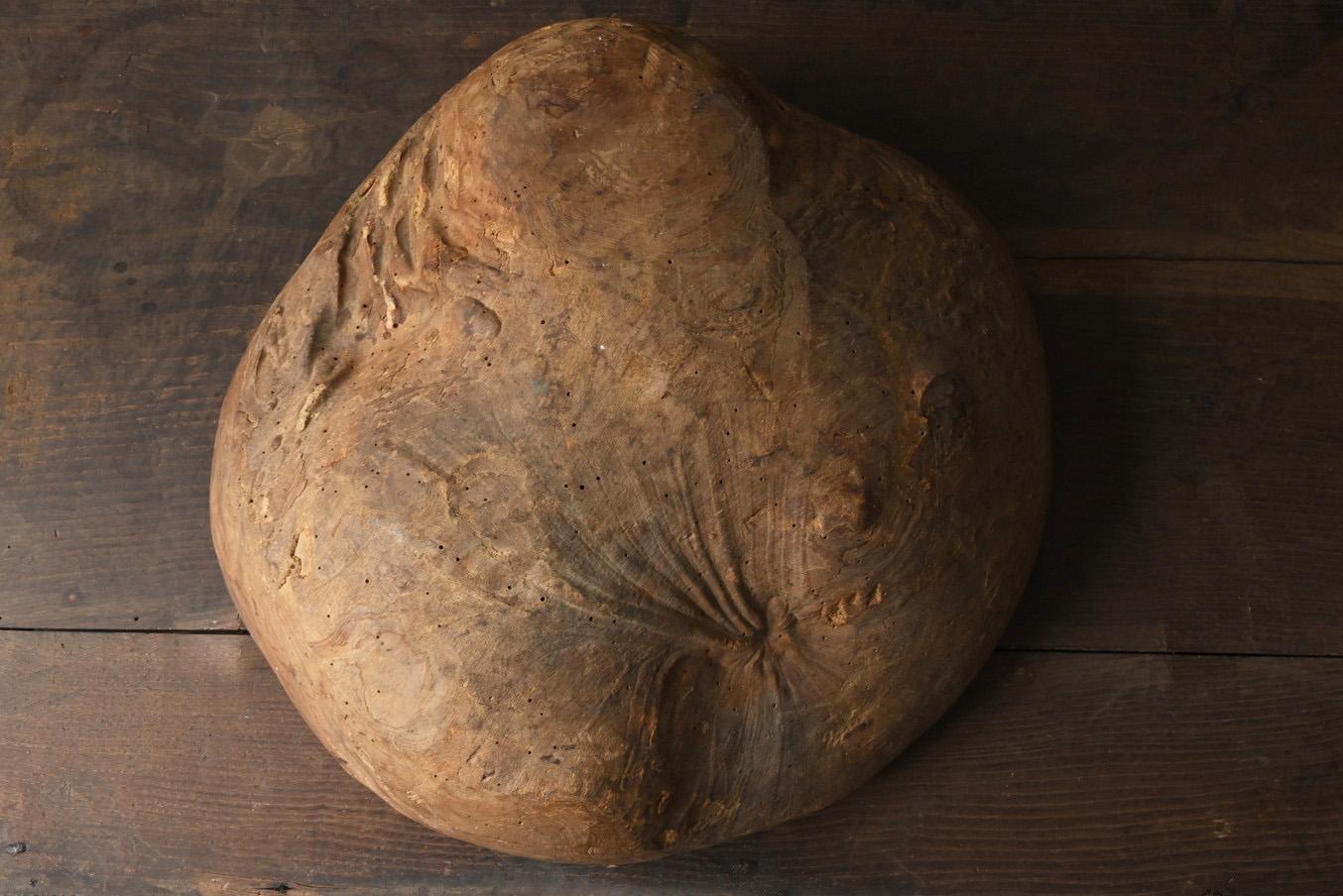 Bol en bois sculpté dans une ancienne loupe d'arbre japonaise/objet de sculpture du 20e siècle en vente 3