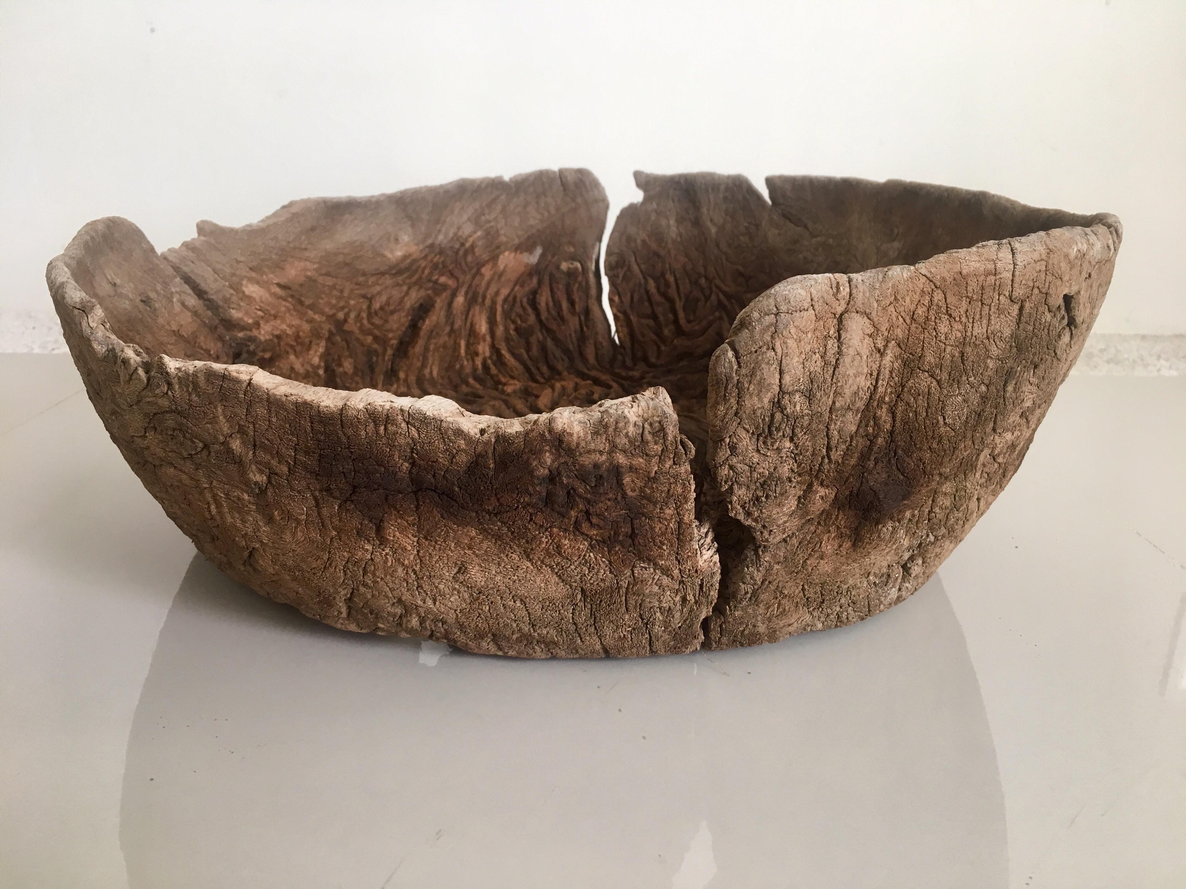 Antique mesquite wood bowl from Guanajuato region of Mexico showing unusual wear and age. The piece was located in the vicinity of Xichú which is a town that is part of the Sierra Gorda biosphere.