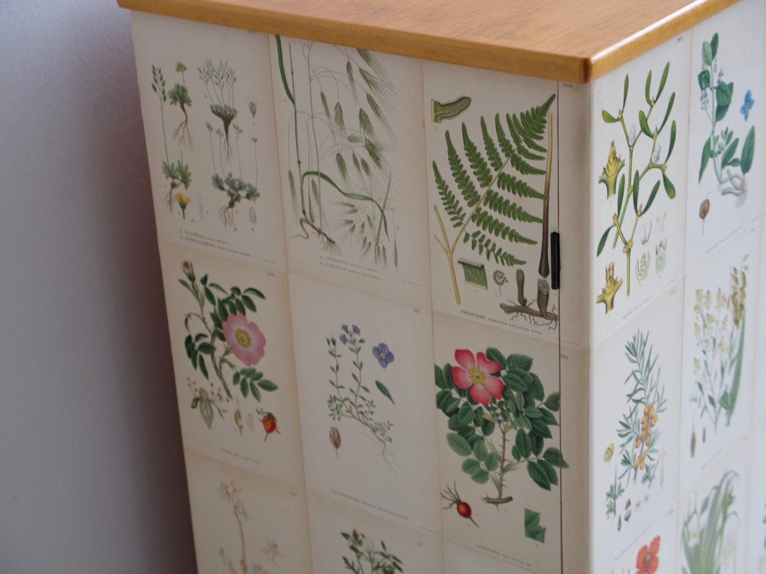 Wooden Cabinet with Nordens Flora Illustrations 6