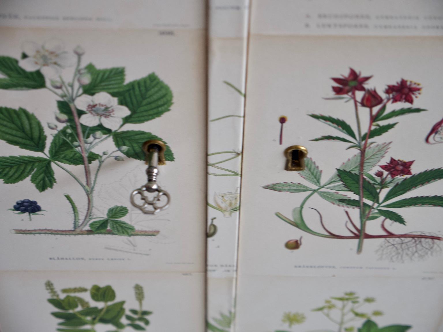 Scandinavian Modern Wooden Cabinet with Nordens Flora Illustrations