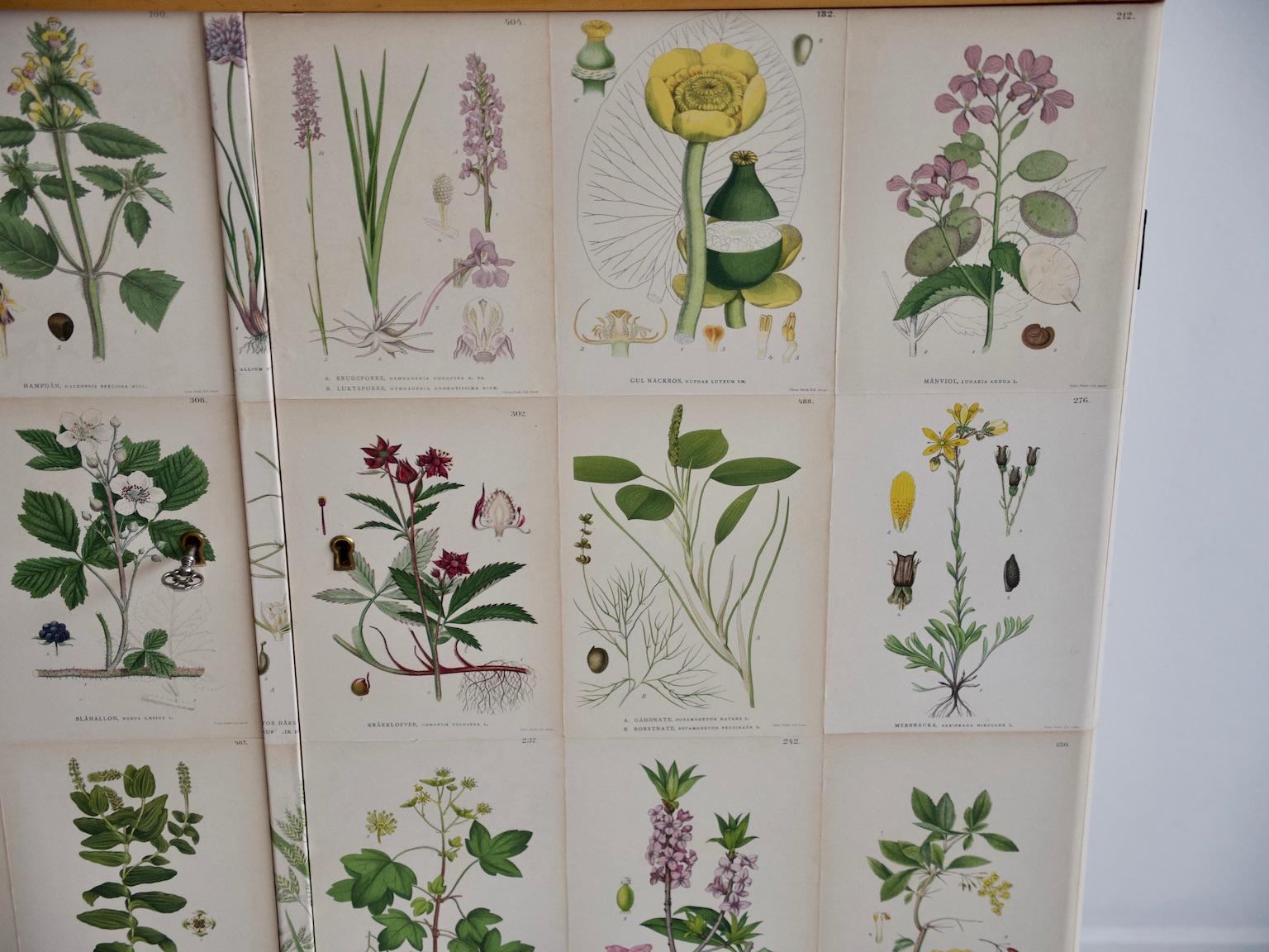 Swedish Wooden Cabinet with Nordens Flora Illustrations