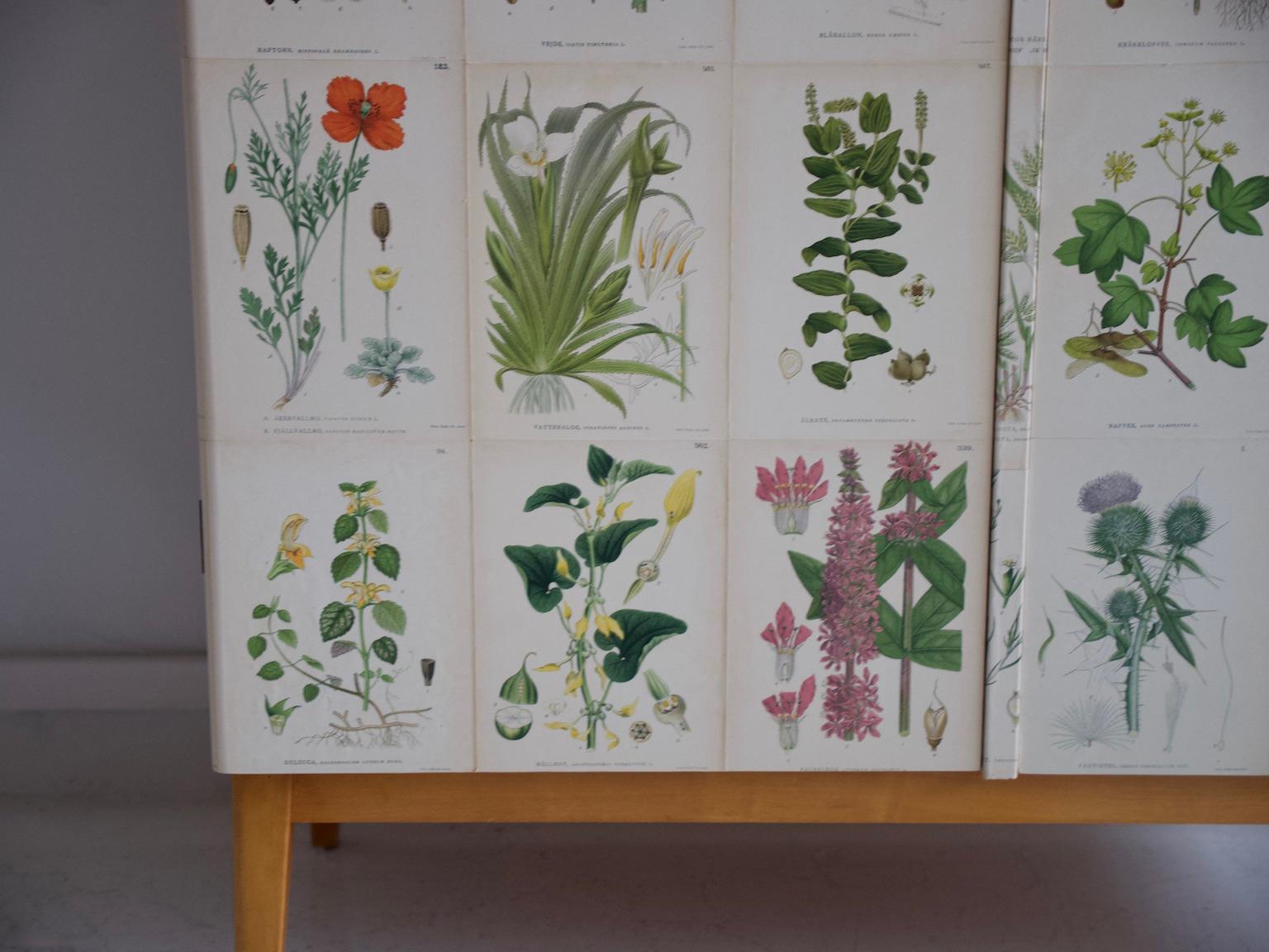 20th Century Wooden Cabinet with Nordens Flora Illustrations