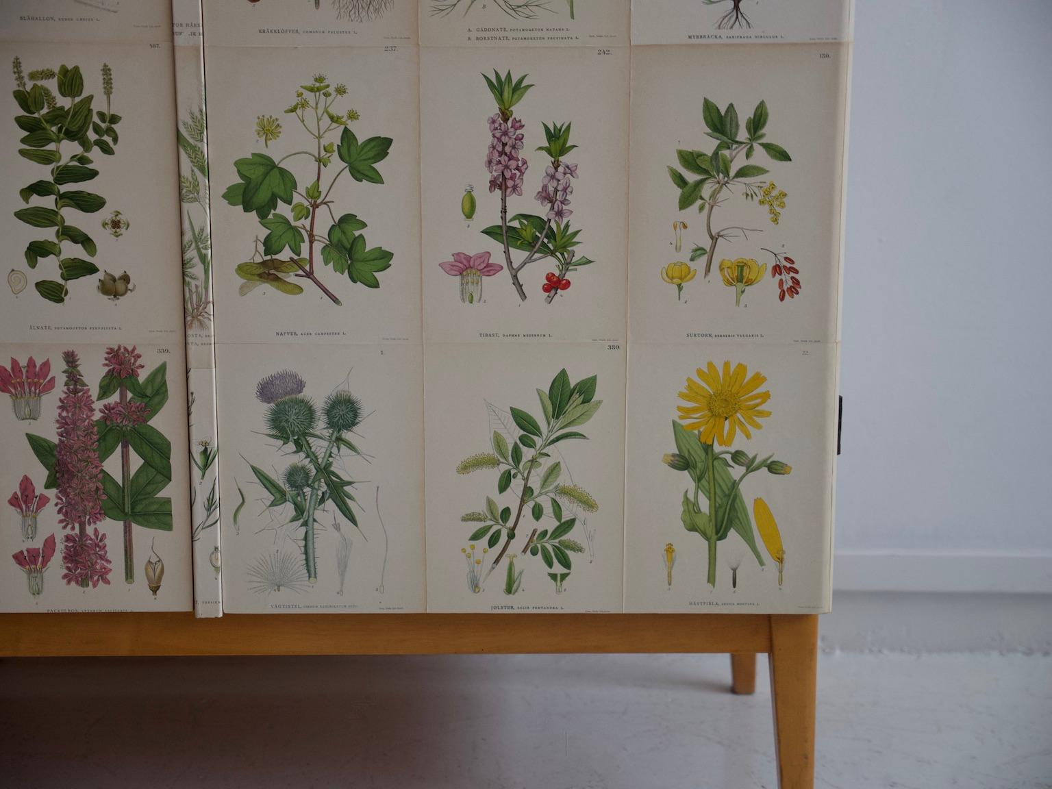 Beech Wooden Cabinet with Nordens Flora Illustrations