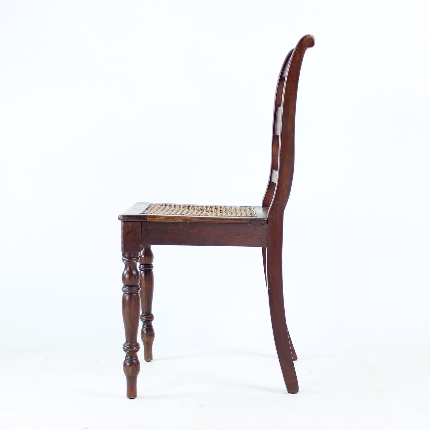 Wooden & Cane Chair, Czechoslovakia 1910s (Gehstock) im Angebot