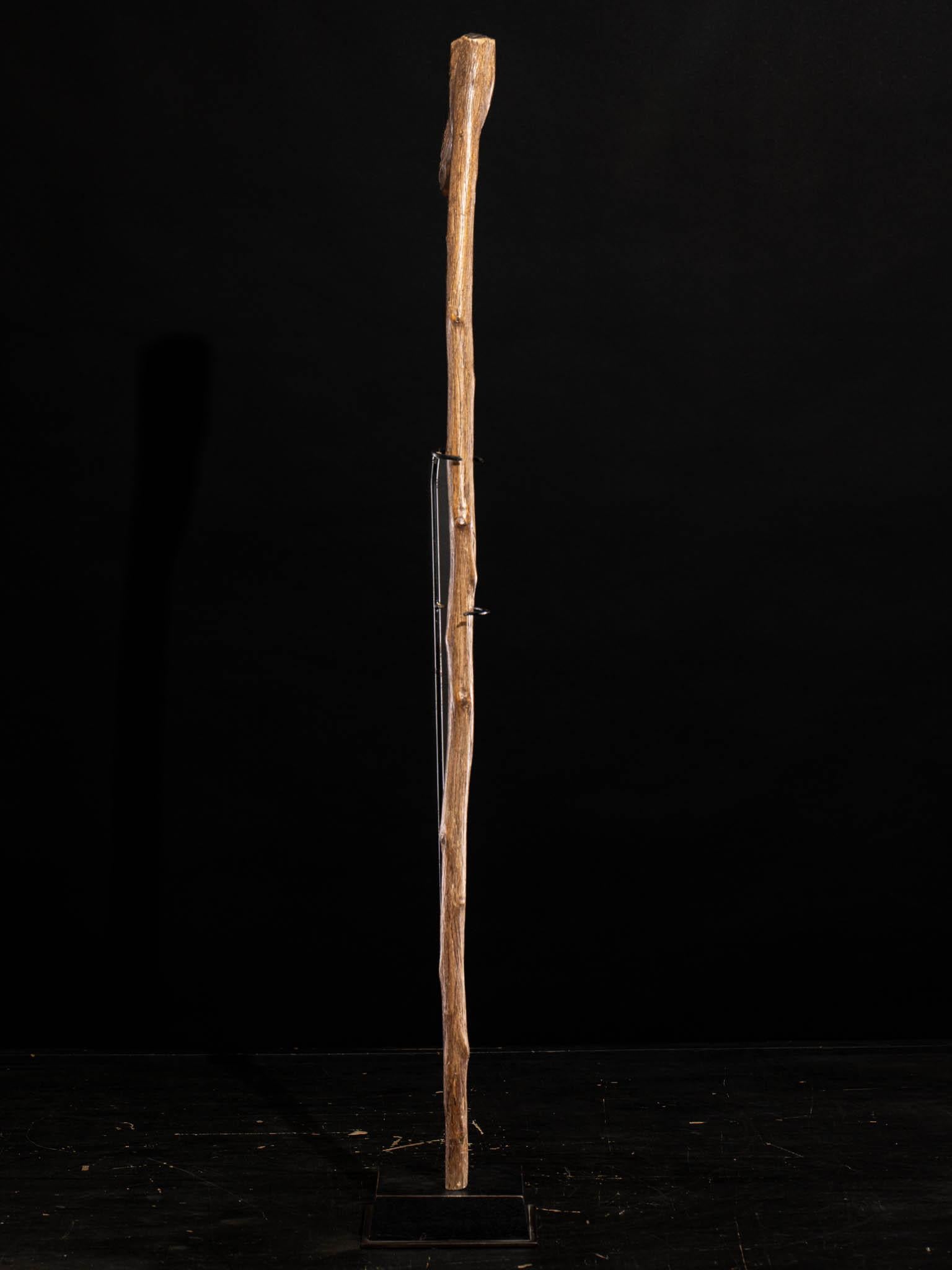 XX secolo Bastone di legno - il manico è intagliato con il volto di un uomo barbuto in vendita