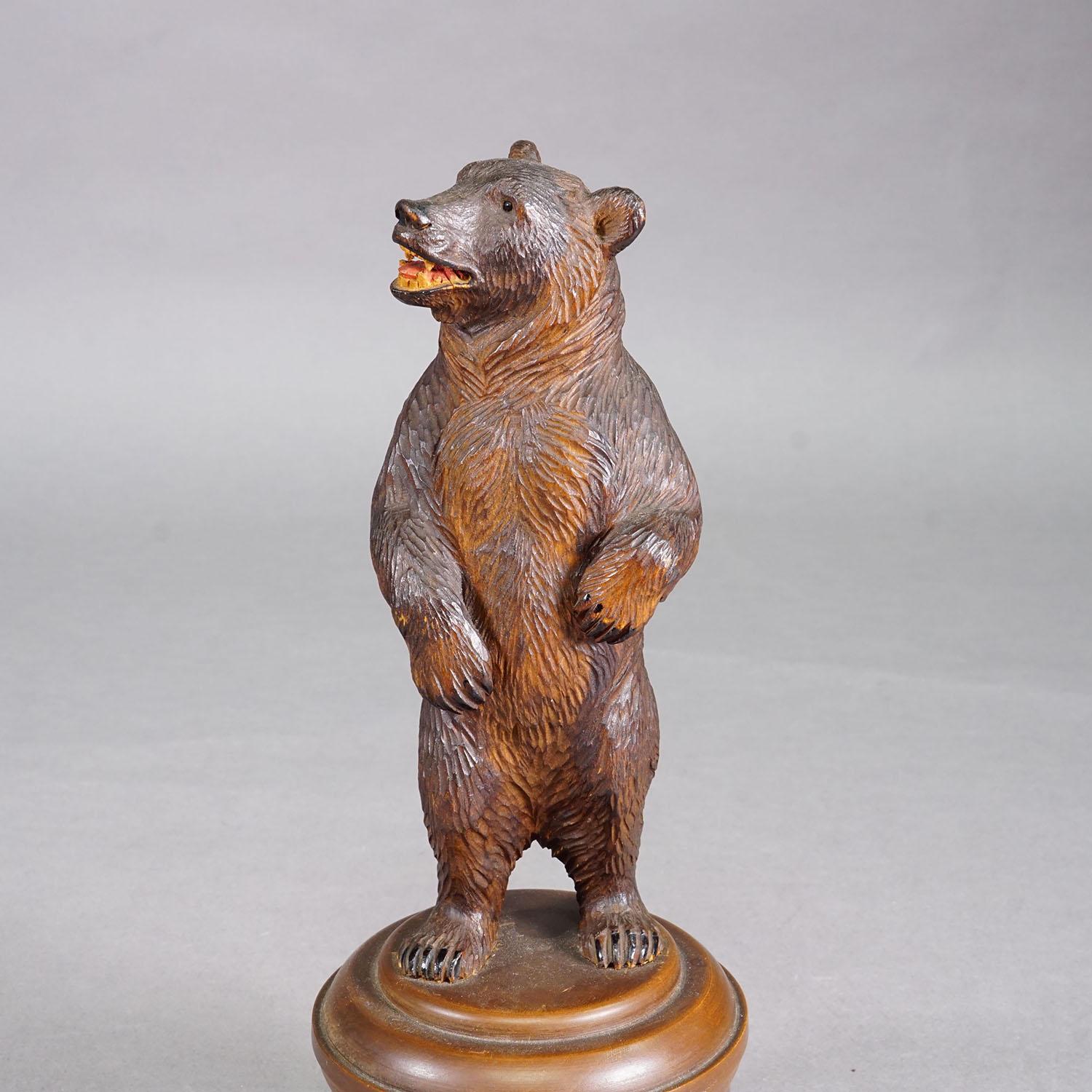 Ours de la forêt noire en bois sculpté, Brienz, vers les années 1920

Un ours de la forêt noire joliment sculpté. Exécuté à Brienz, en Suisse, vers 1920. Très bon état. Taille de l'ours : 11.02' inches (28 cm). Un excellent complément à votre