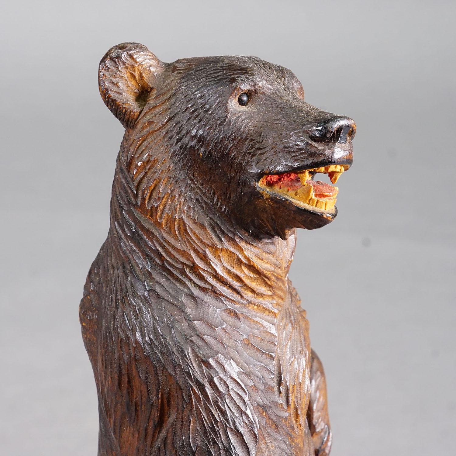 Forêt-Noire Ours de Black Forest sculpté en bois, Brienz vers 1920 en vente
