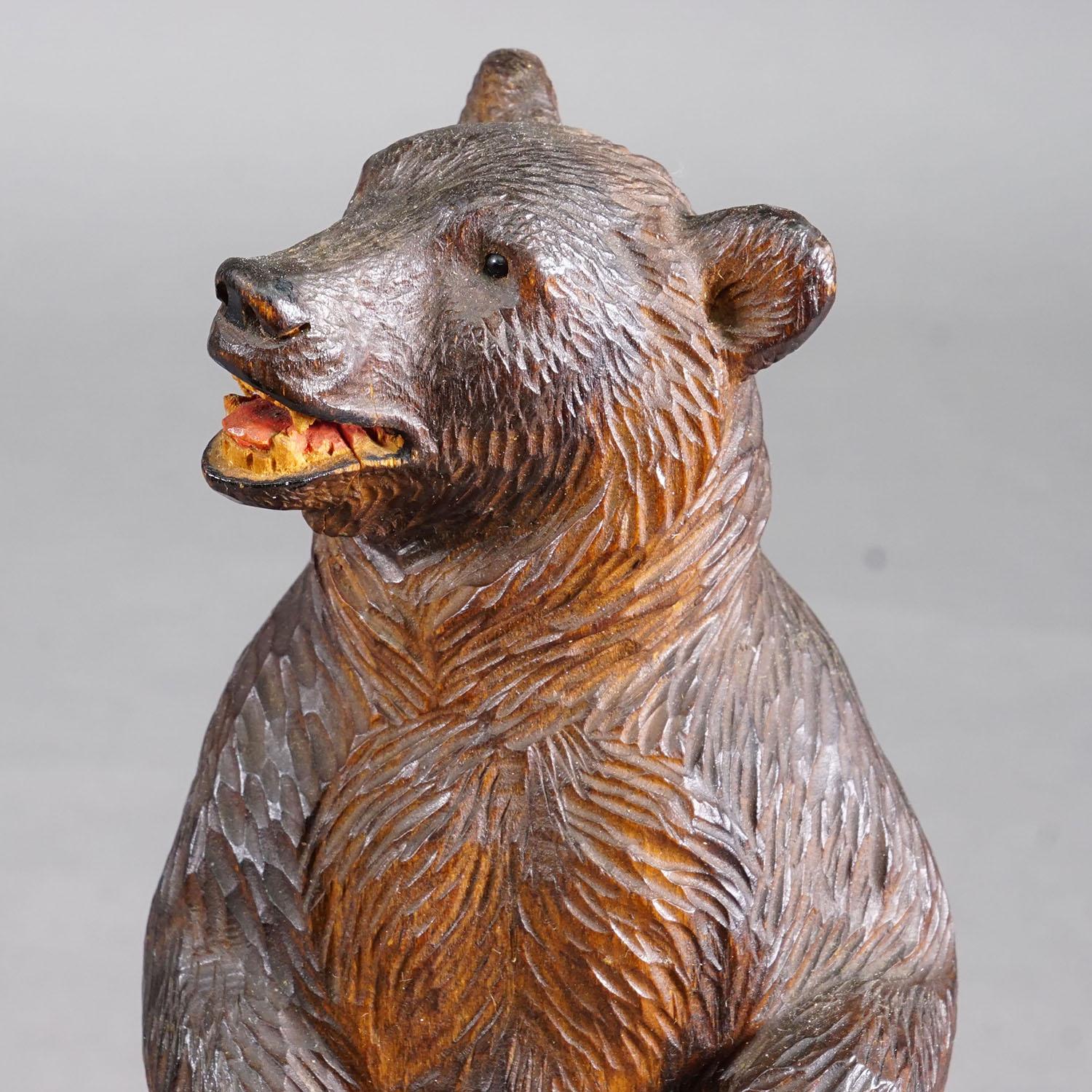 Suisse Ours de Black Forest sculpté en bois, Brienz vers 1920 en vente