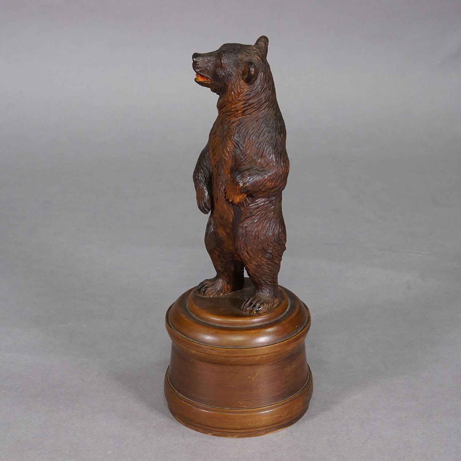 Ours de Black Forest sculpté en bois, Brienz vers 1920 Bon état - En vente à Berghuelen, DE