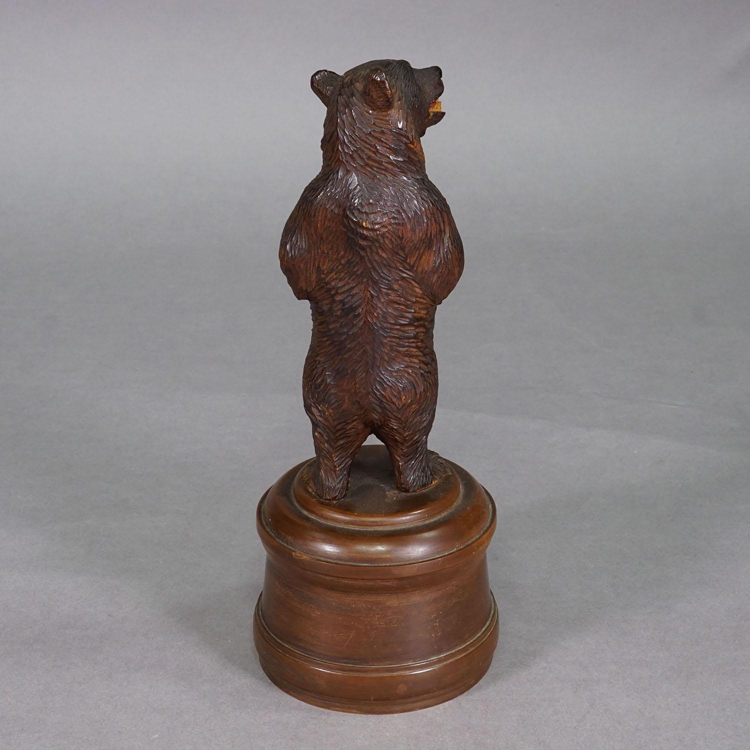 Début du 20ème siècle Ours de Black Forest sculpté en bois, Brienz vers 1920 en vente