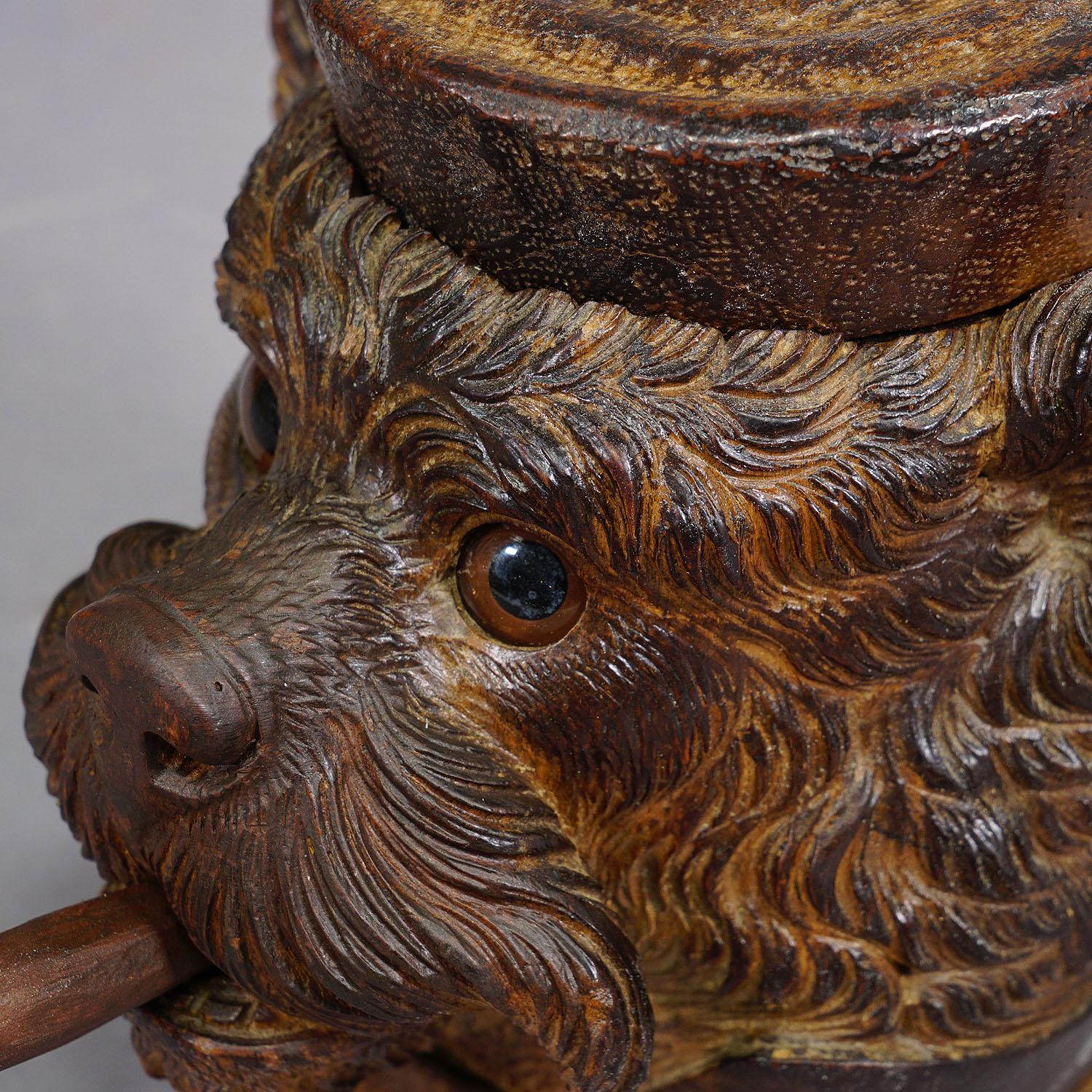 Wooden Carved Black Forest Tobacco Box Terrier Head ca. 1900 For Sale 1