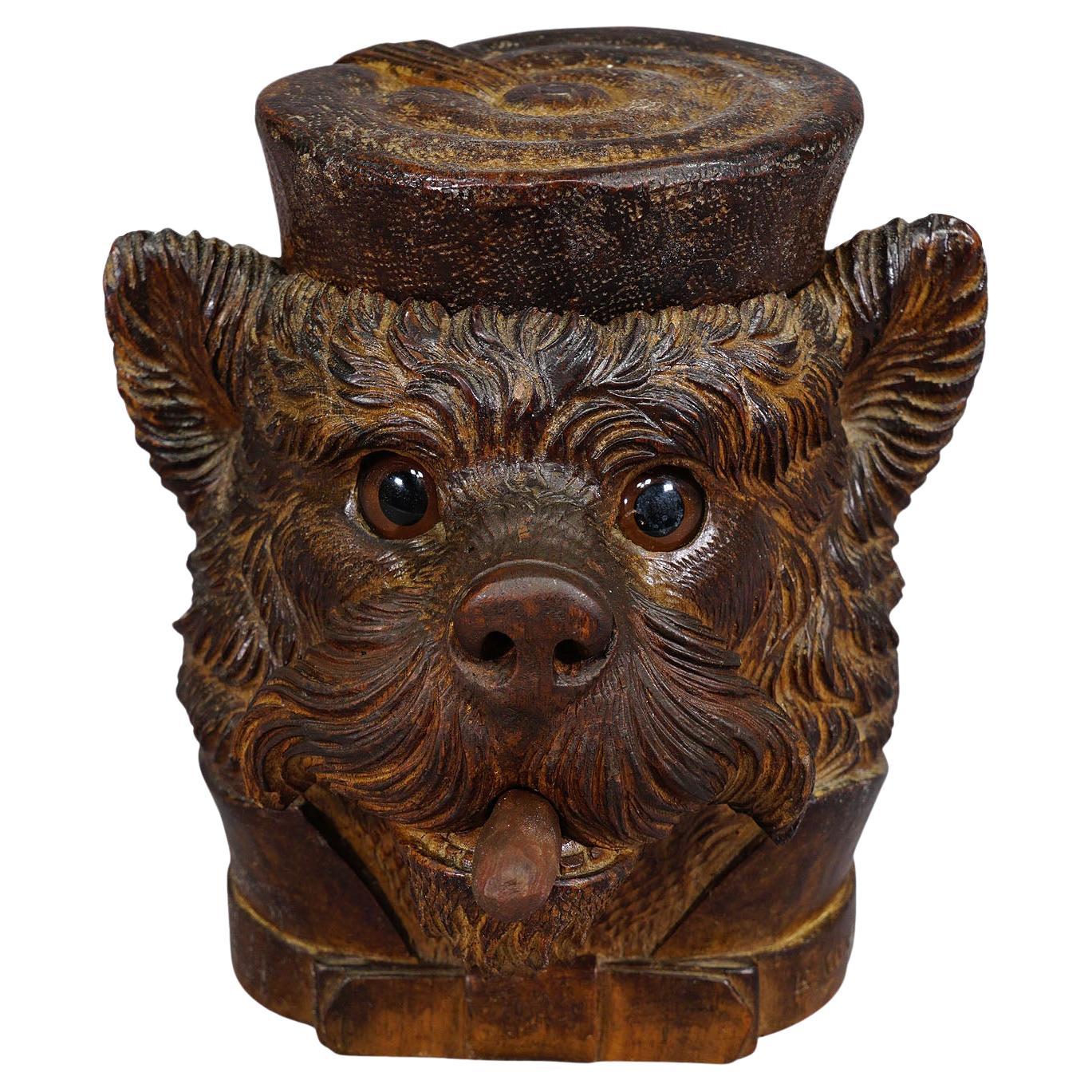 Wooden Carved Black Forest Tobacco Box Terrier Head ca. 1900 For Sale