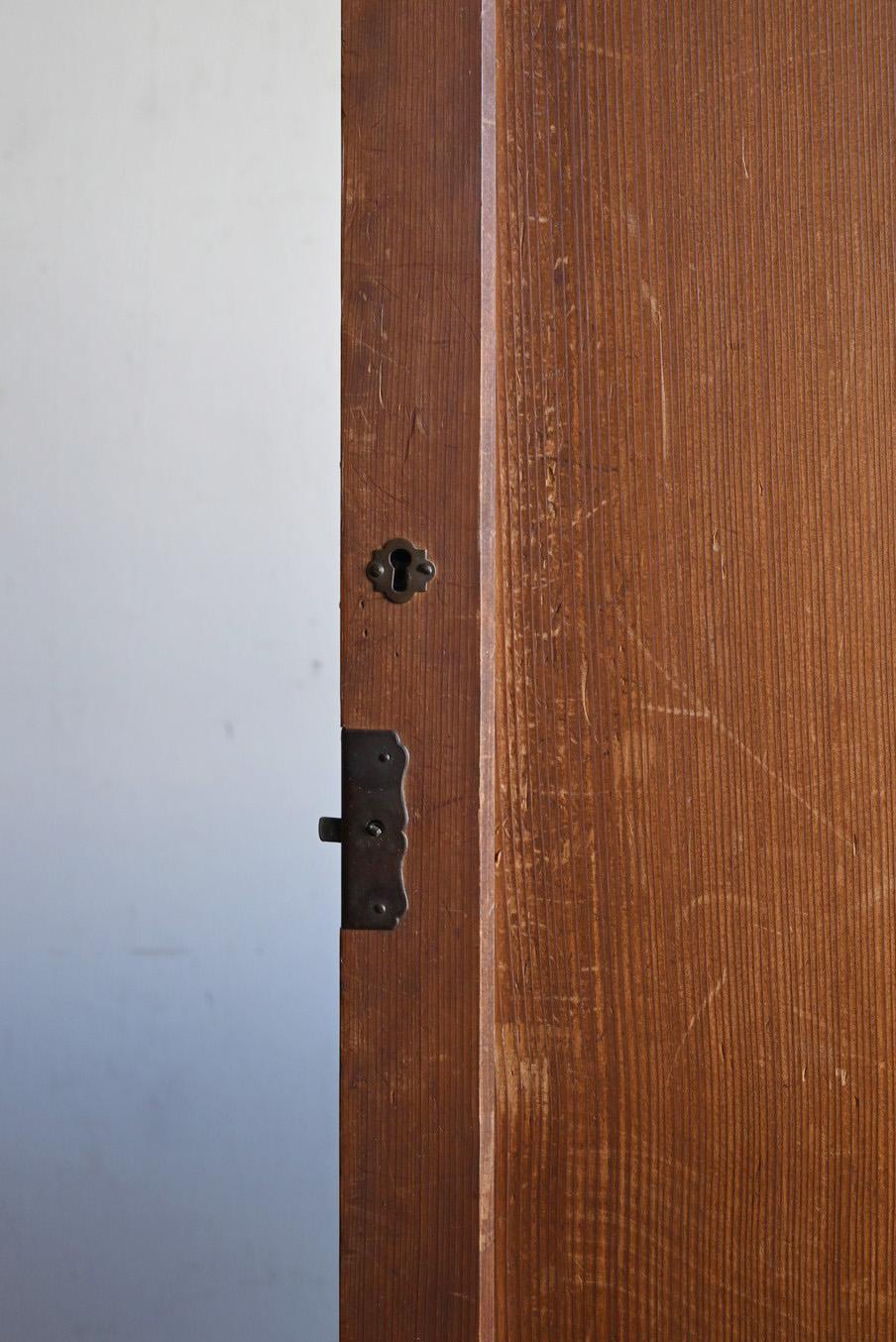 Puerta de madera con pintura antigua de bambú japonés/Pintura para colgar en la pared/Puerta de madera siglo XX en venta