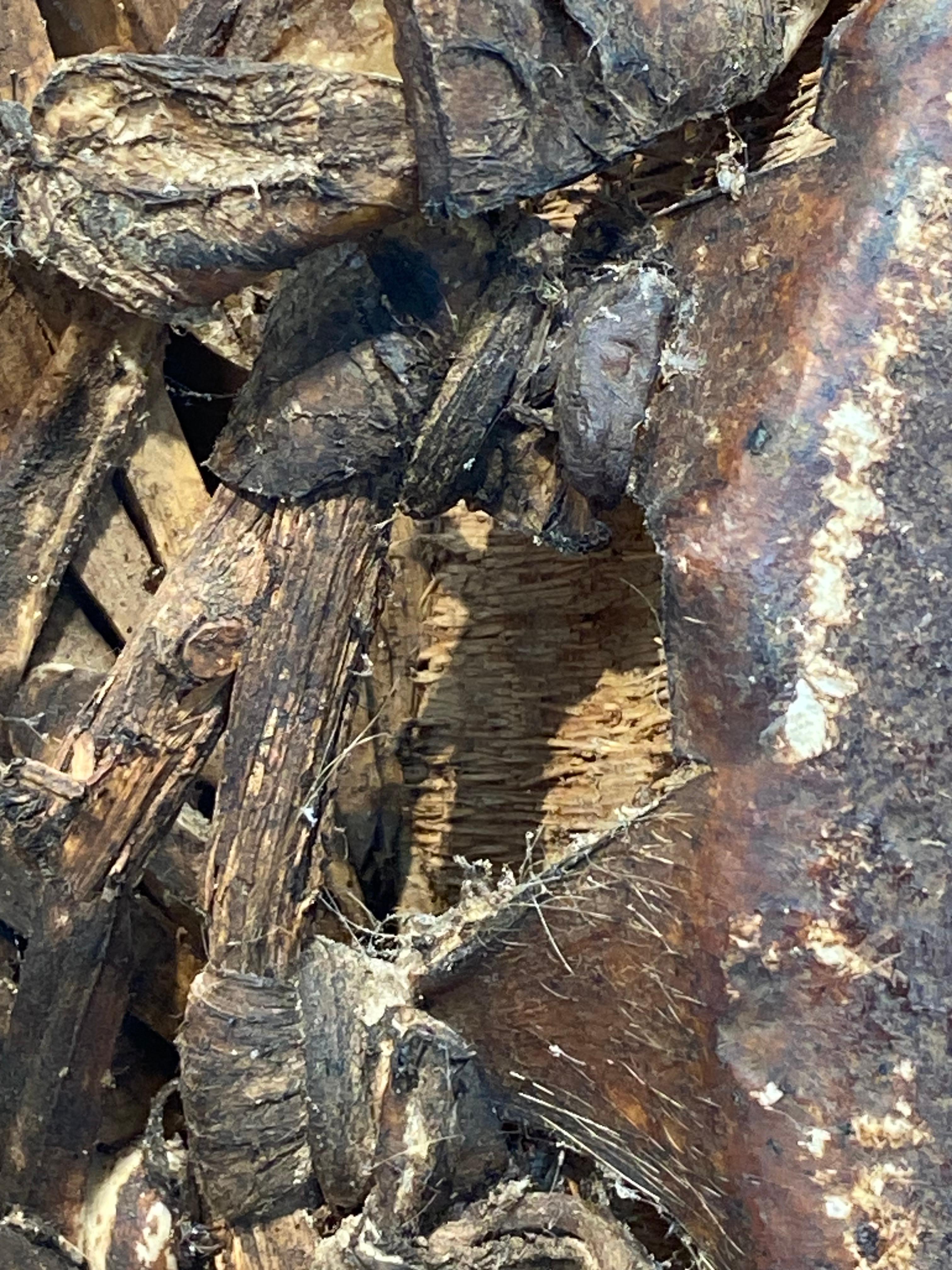 In legno  Tamburo dell'isola indonesiana di Sumba in vendita 2