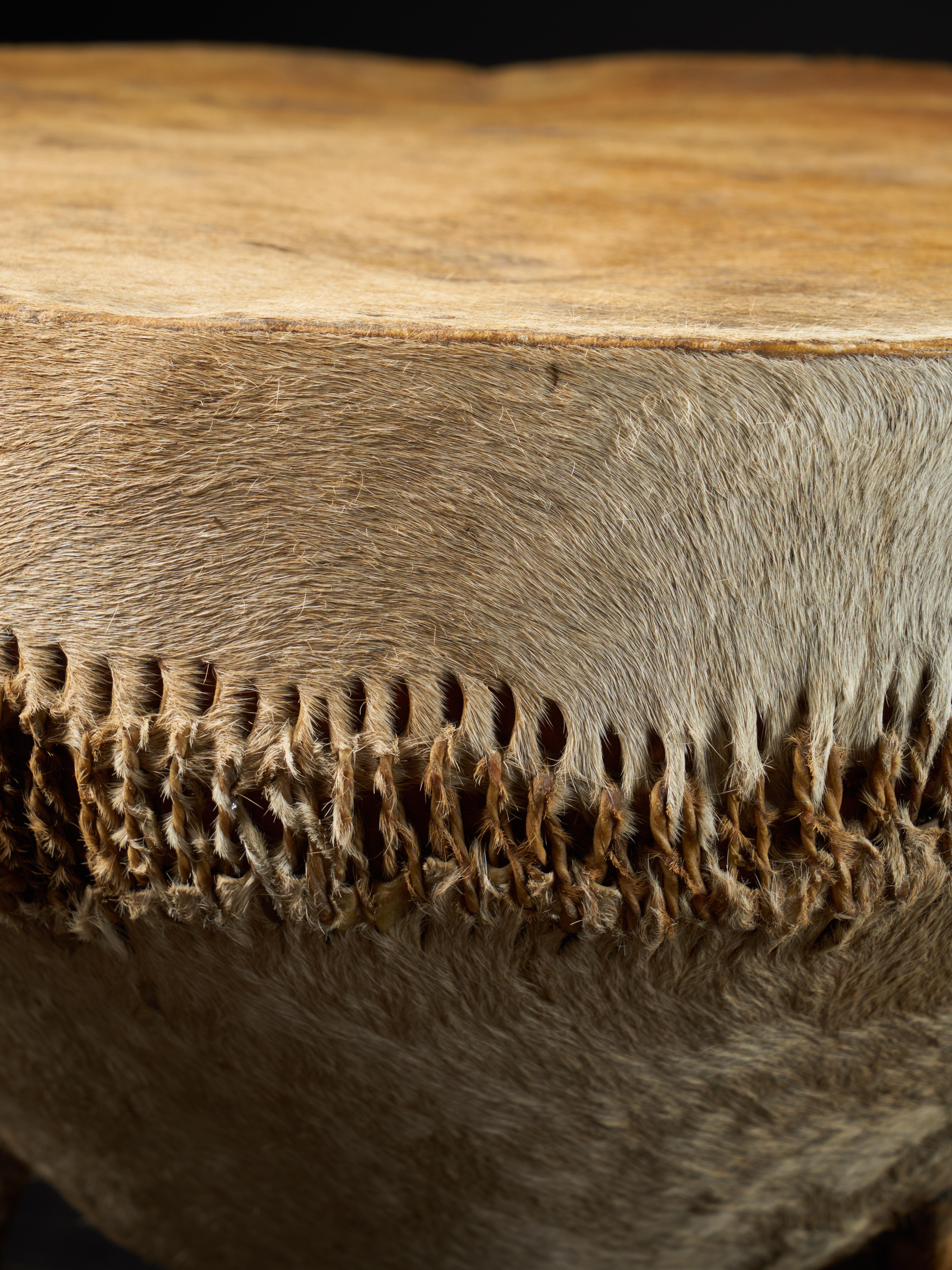 African Wooden Drum with Shell and Membrane in Animal Skin