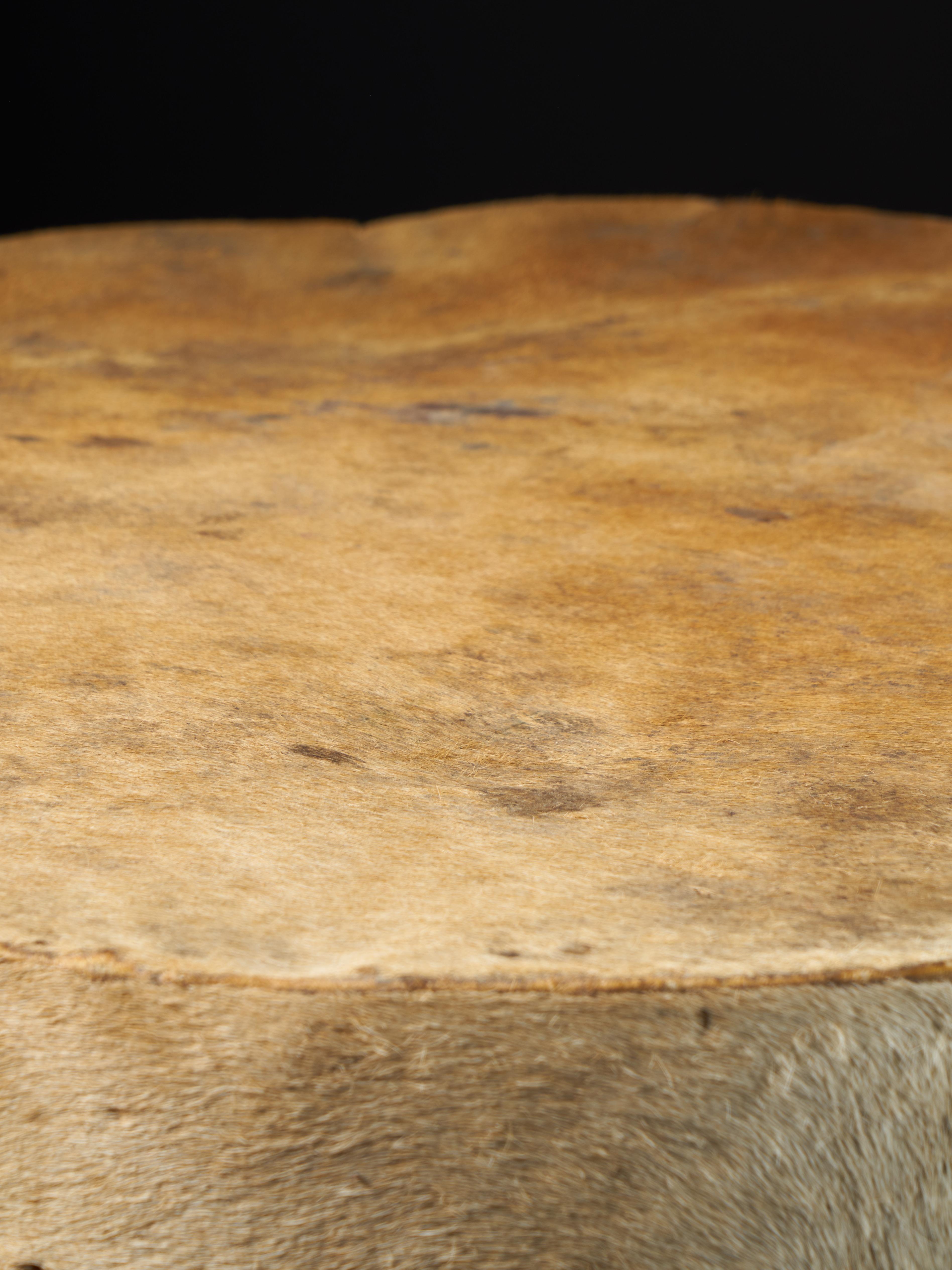 Wooden Drum with Shell and Membrane in Animal Skin In Good Condition In Leuven , BE