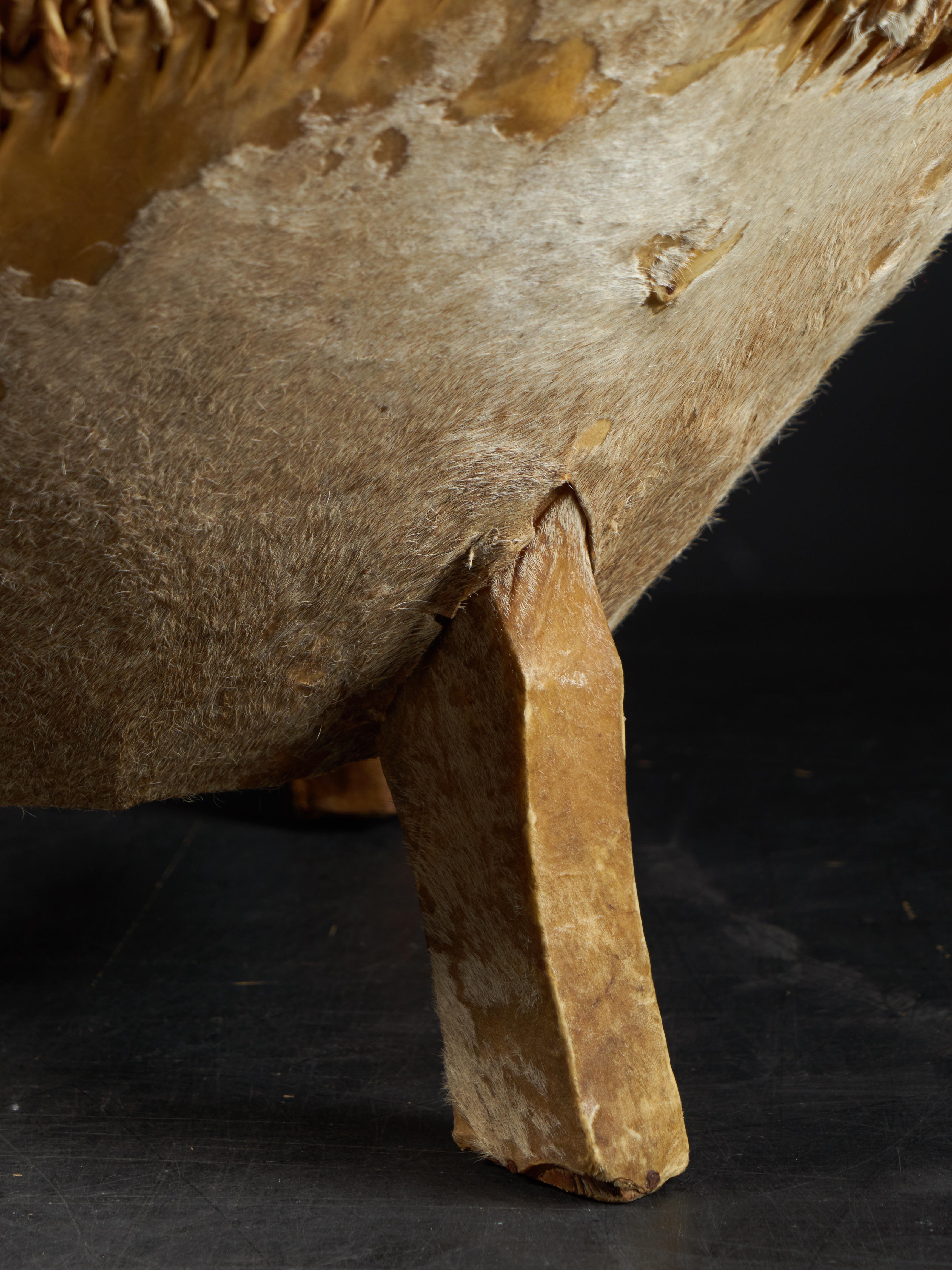 20th Century Wooden Drum with Shell and Membrane in Animal Skin