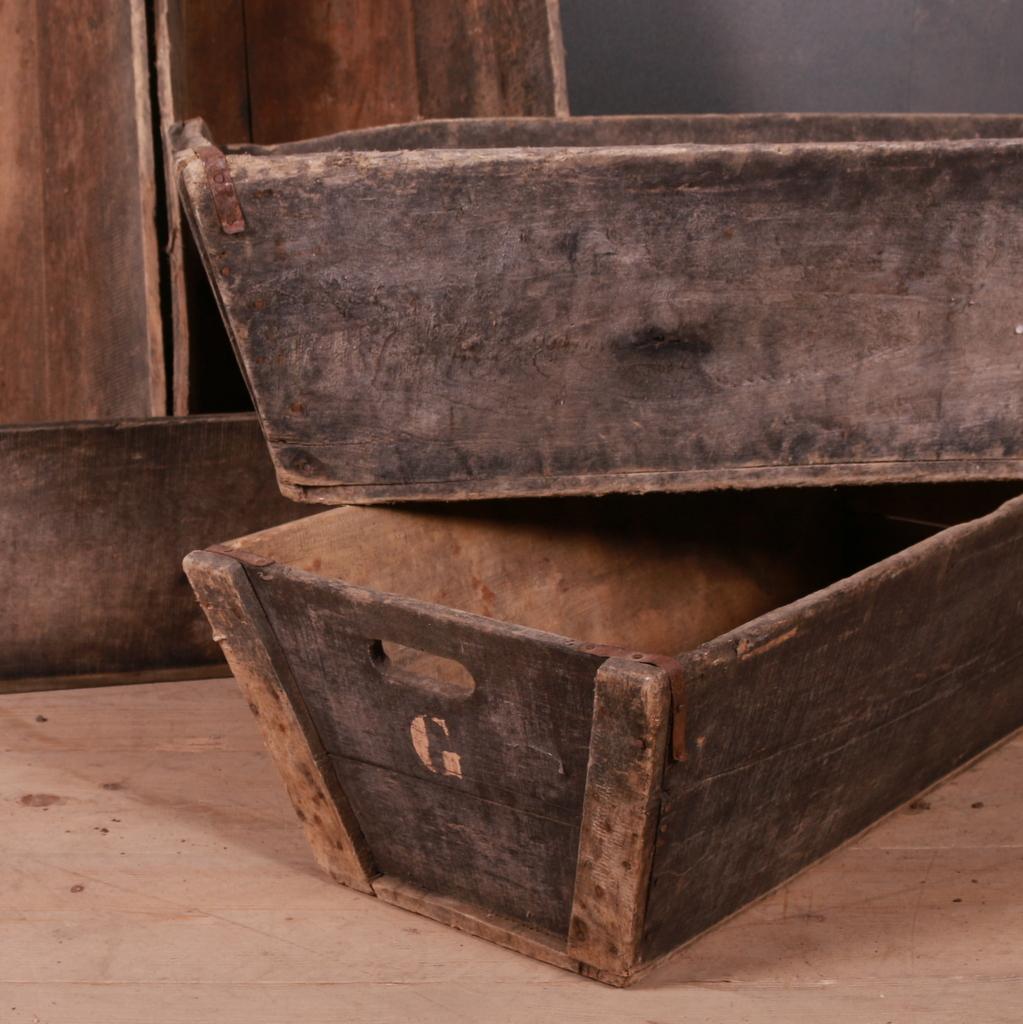 19th C wooden French grape bins. Great decoration for shops and homes alike. 1890.

Dimensions
39 inches (99 cms) wide
17.5 inches (44 cms) deep
11 inches (28 cms) high.