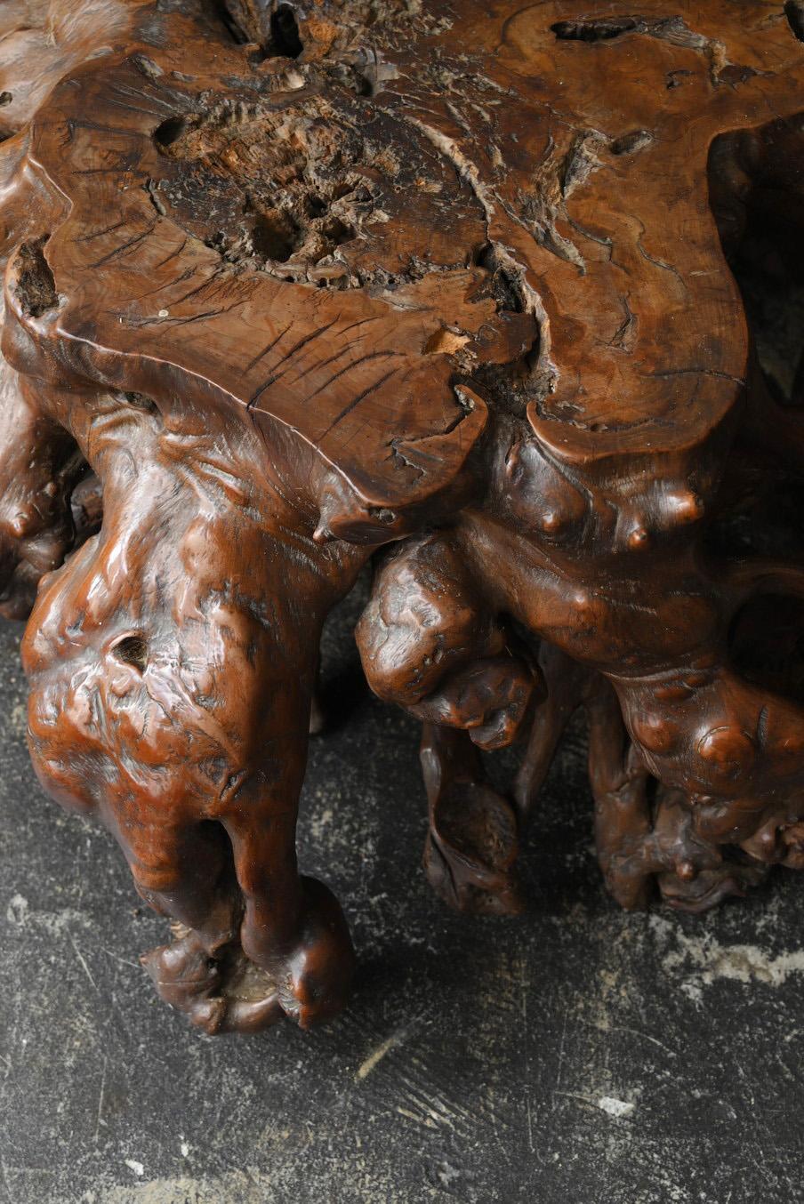 Table basse en bois fabriquée à partir des racines d'un vieil arbre japonais /  Table de canapé en vente 2