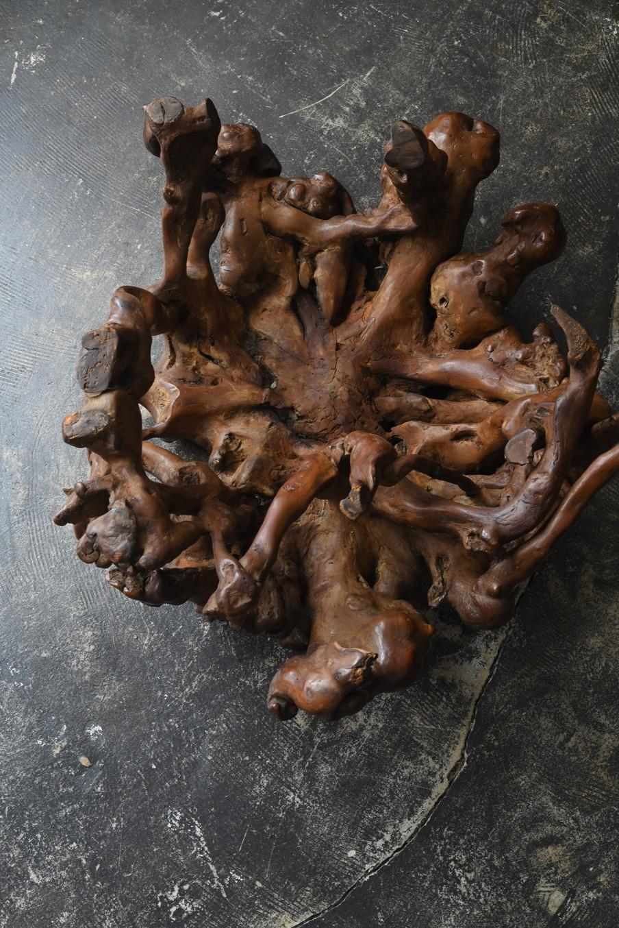 Table basse en bois fabriquée à partir des racines d'un vieil arbre japonais /  Table de canapé en vente 11