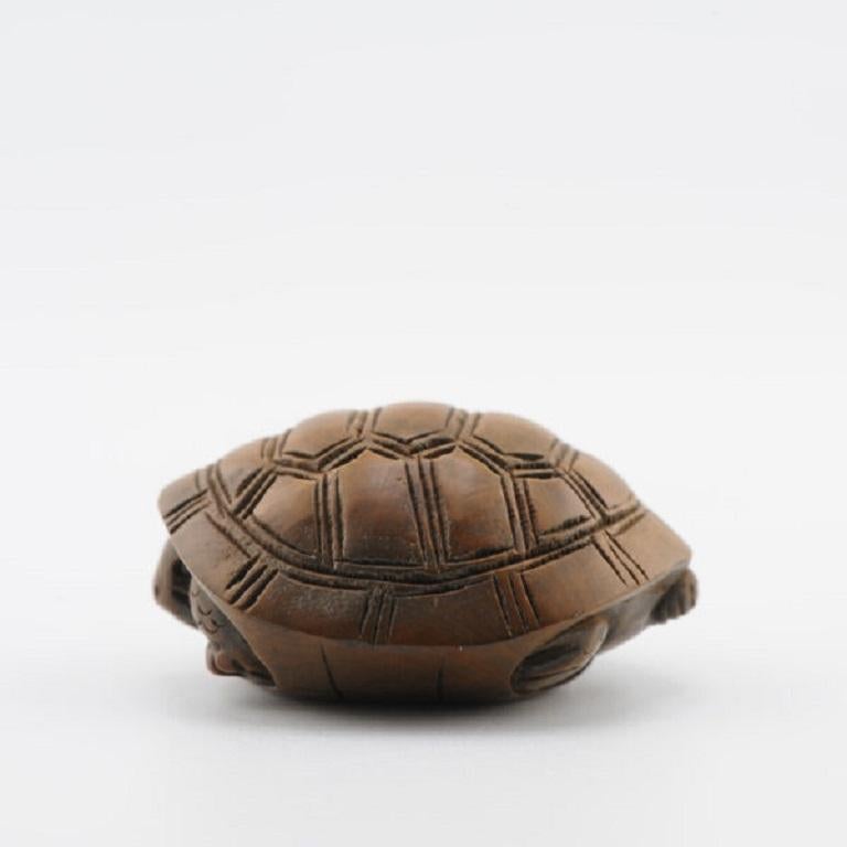 Wooden Netsuke Sculpture Japanese Turtle, 20th Century 1