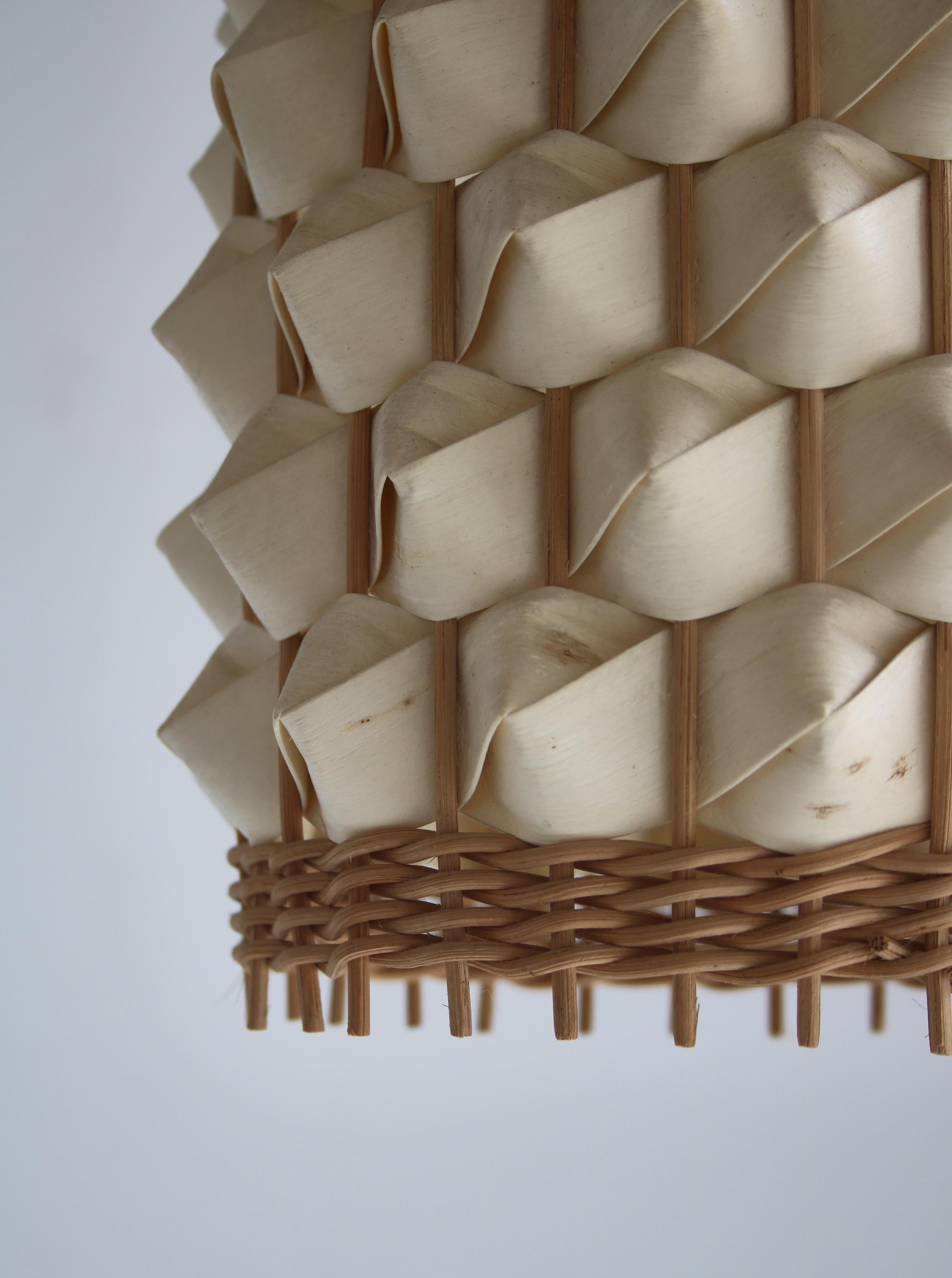 Wooden Pendant Wall Lamp by Louis Poulsen, 1960s Scandinavian Modern 1