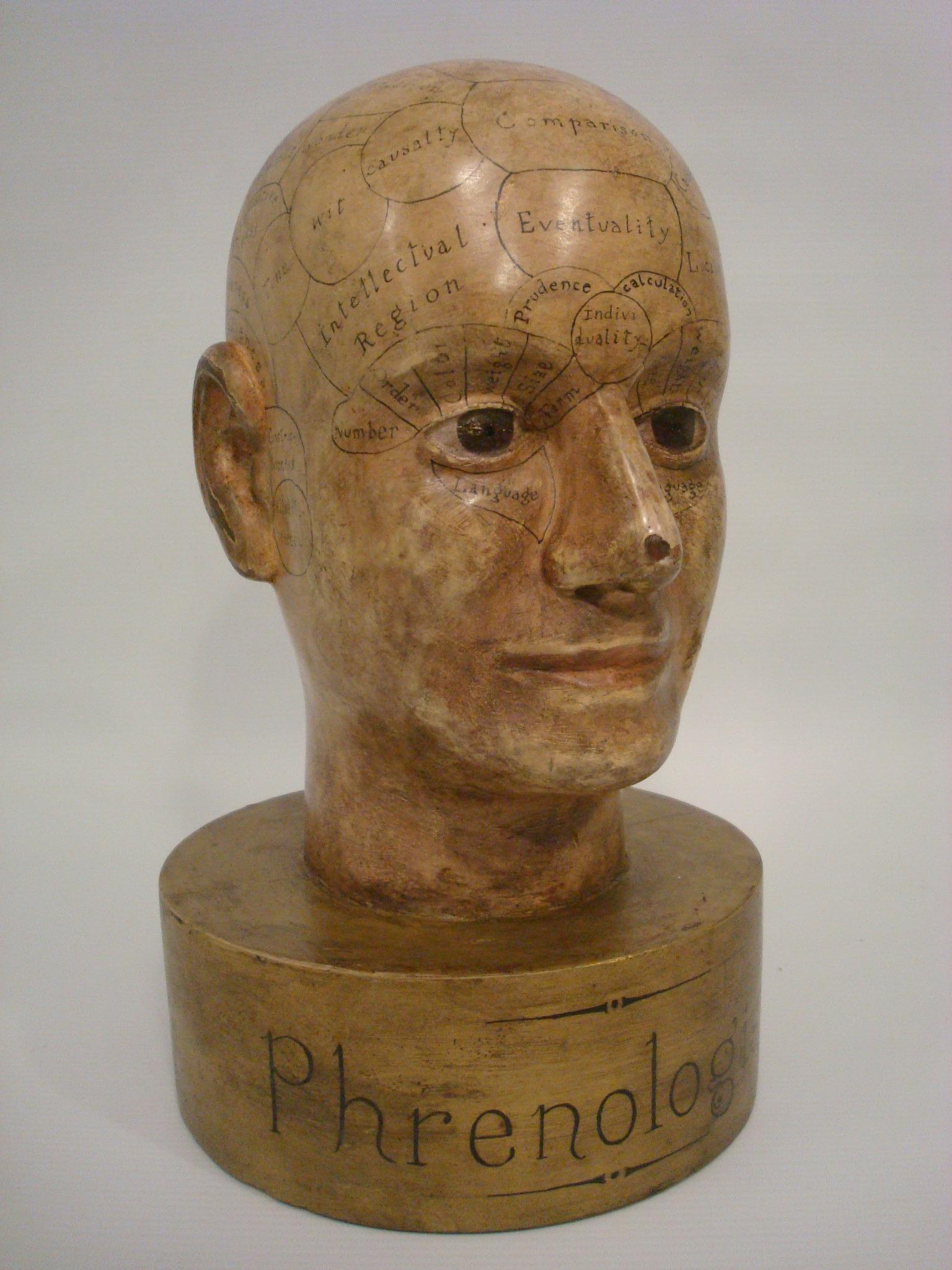 Carved and painted wooden phrenology head Store display advertising model. Phrenology bust by unknown wood carver, circa 1870. Perfect to decorate a Doctor´s office or someone that works in medicine.
Phrenology was a science of character