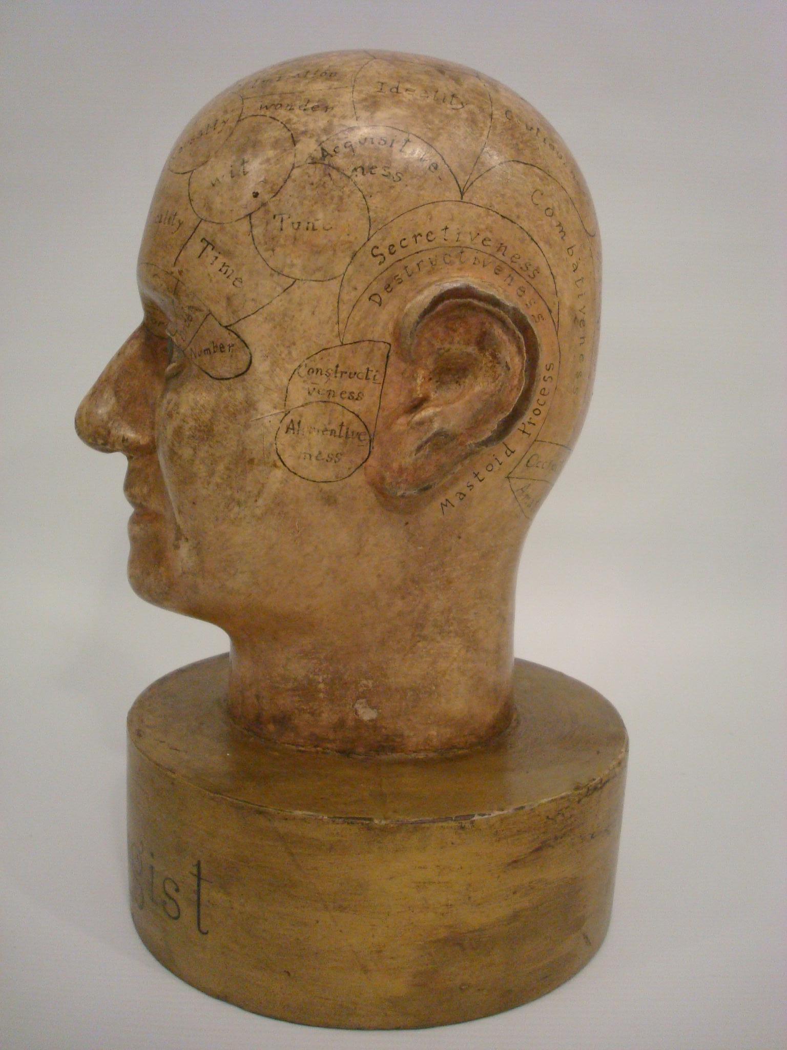 Sculpté à la main Modèle de vitrine publicitaire en bois Phrenology Head Folk Art Americana en vente