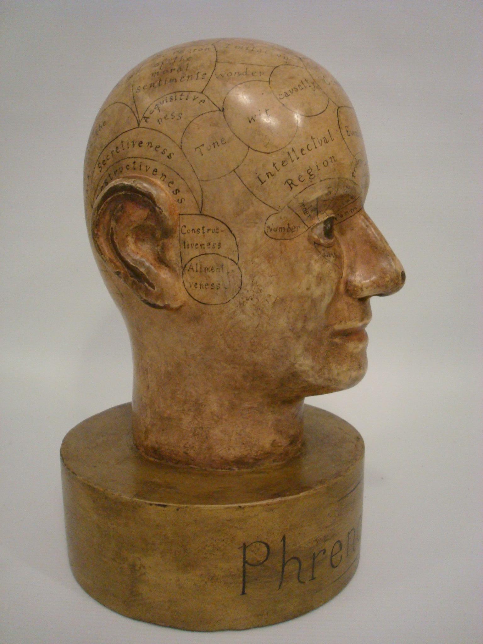 Hand-Carved Wooden Phrenology Head Advertising Store Display Model Folk Art Americana For Sale