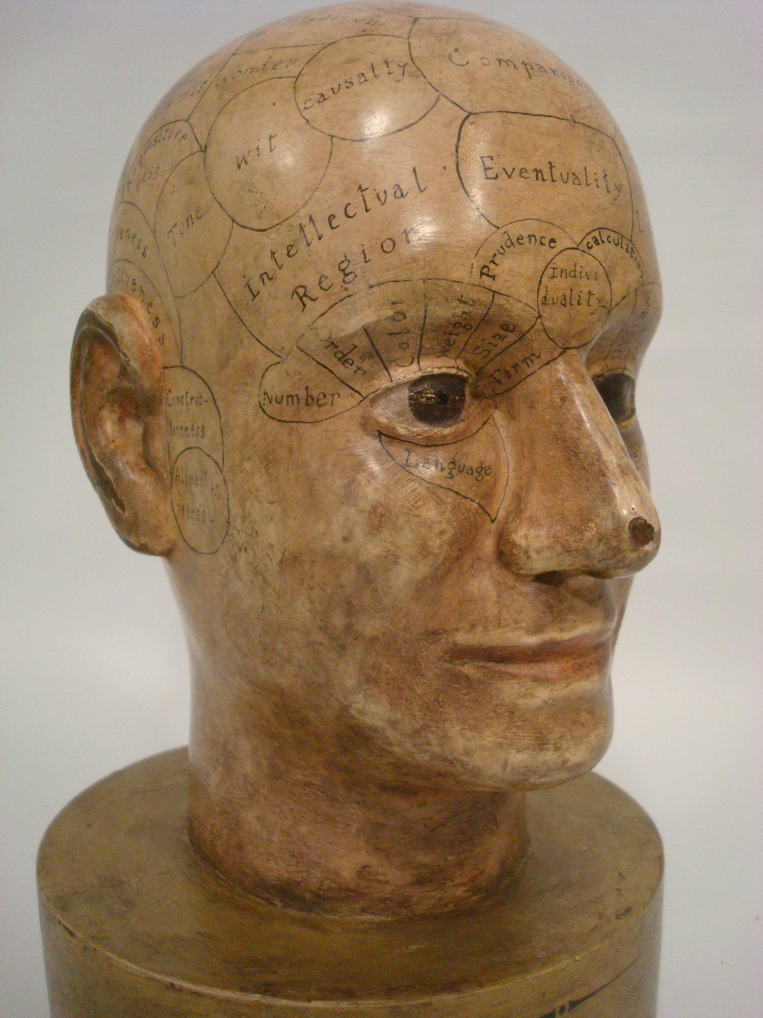 Wooden Phrenology Head Advertising Store Display Model Folk Art Americana In Good Condition For Sale In Buenos Aires, Olivos