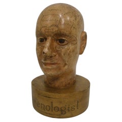 Antique Wooden Phrenology Head Advertising Store Display Model Folk Art Americana