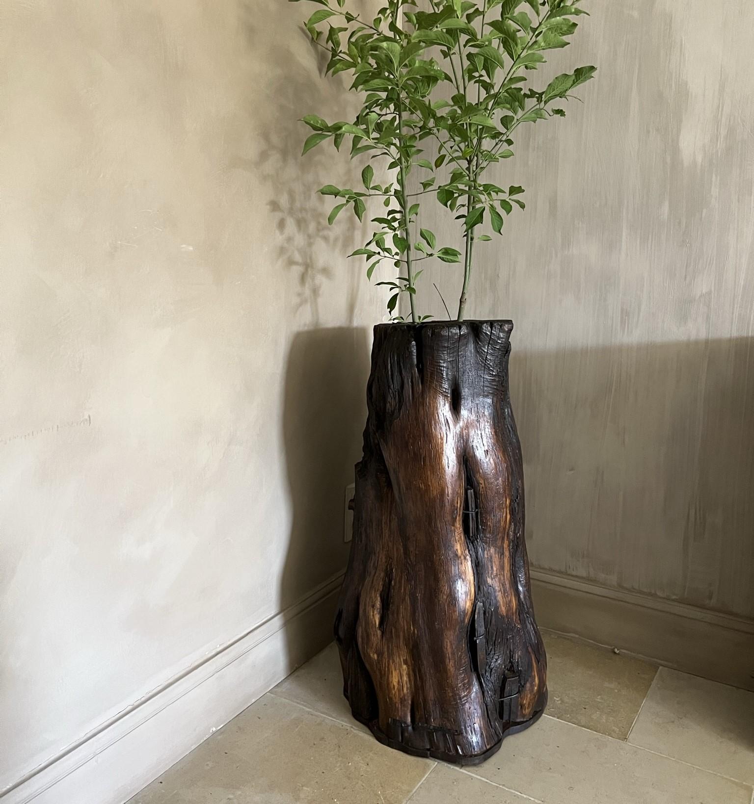 wooden root trough planter For Sale 5