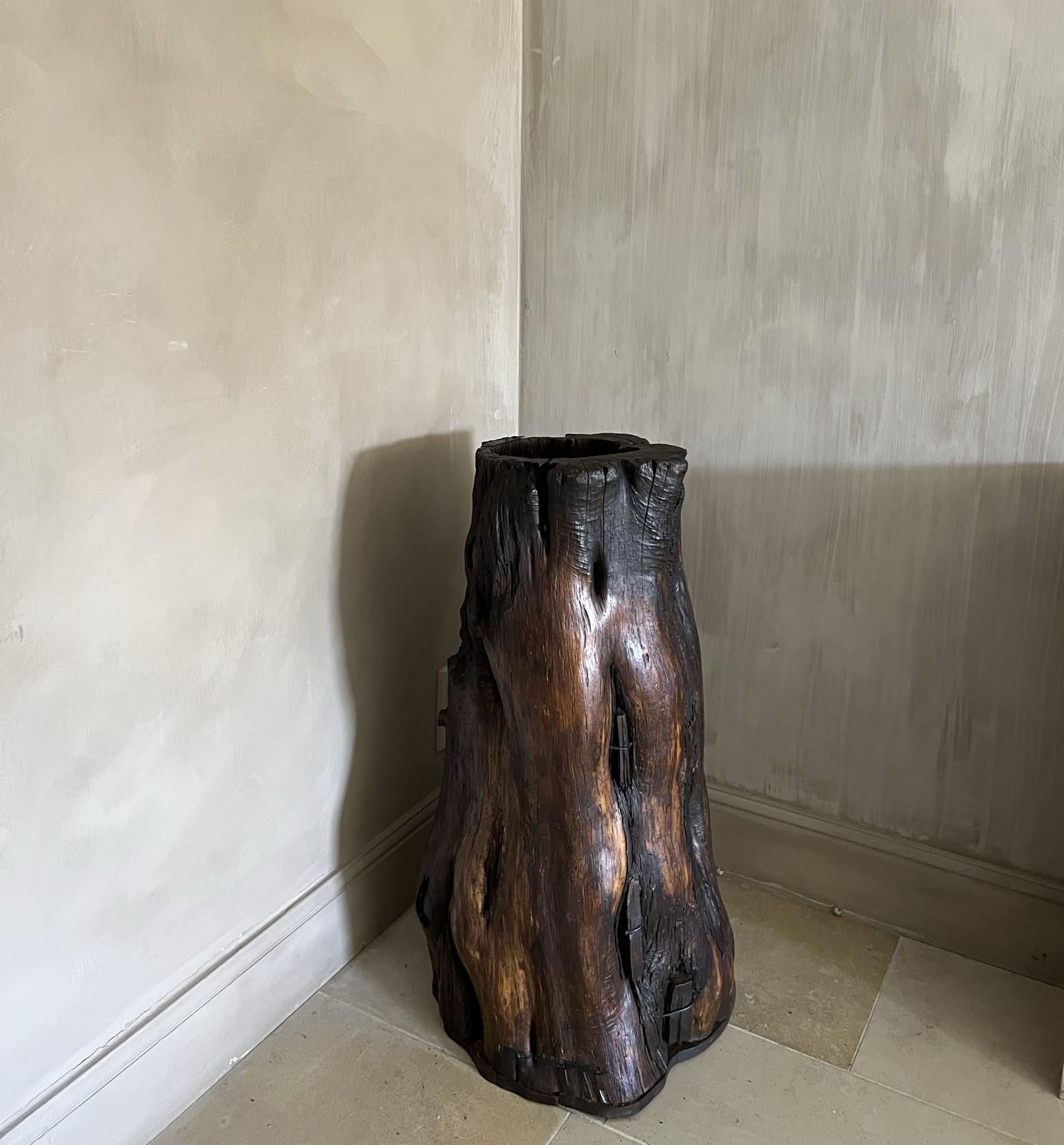 wooden root trough planter For Sale 8