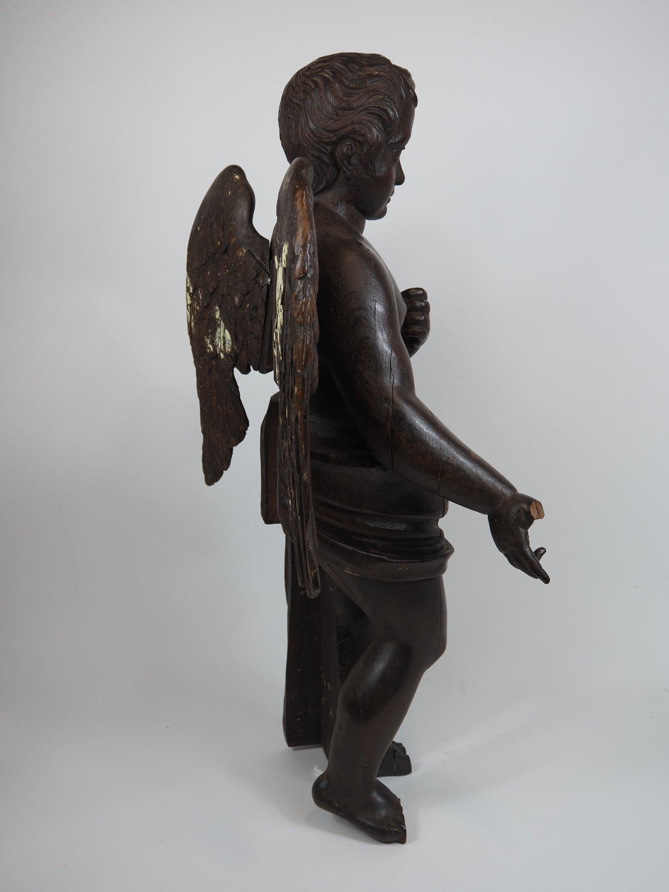 Holzskulptur eines Putto, Mischung aus Barock- und klassischem Stil, frühes 19. Jahrhundert. im Angebot 10