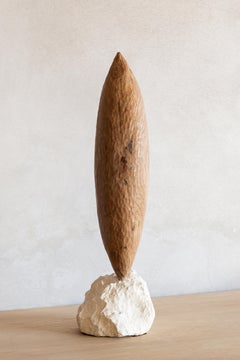 Scultura in legno Seed Oak di Jean-Baptiste Jean Den Heede
