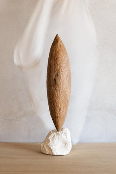 Holzskulptur mit Samen aus Eiche von Jean-Baptiste Van Den Heede