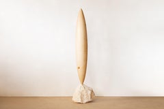 Wooden Seed Oak Sculpture by Jean-Baptiste Van Den Heede
