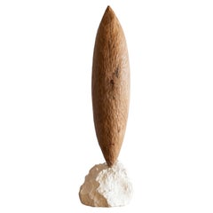 Scultura in legno Seed Oak di Jean-Baptiste Jean Den Heede