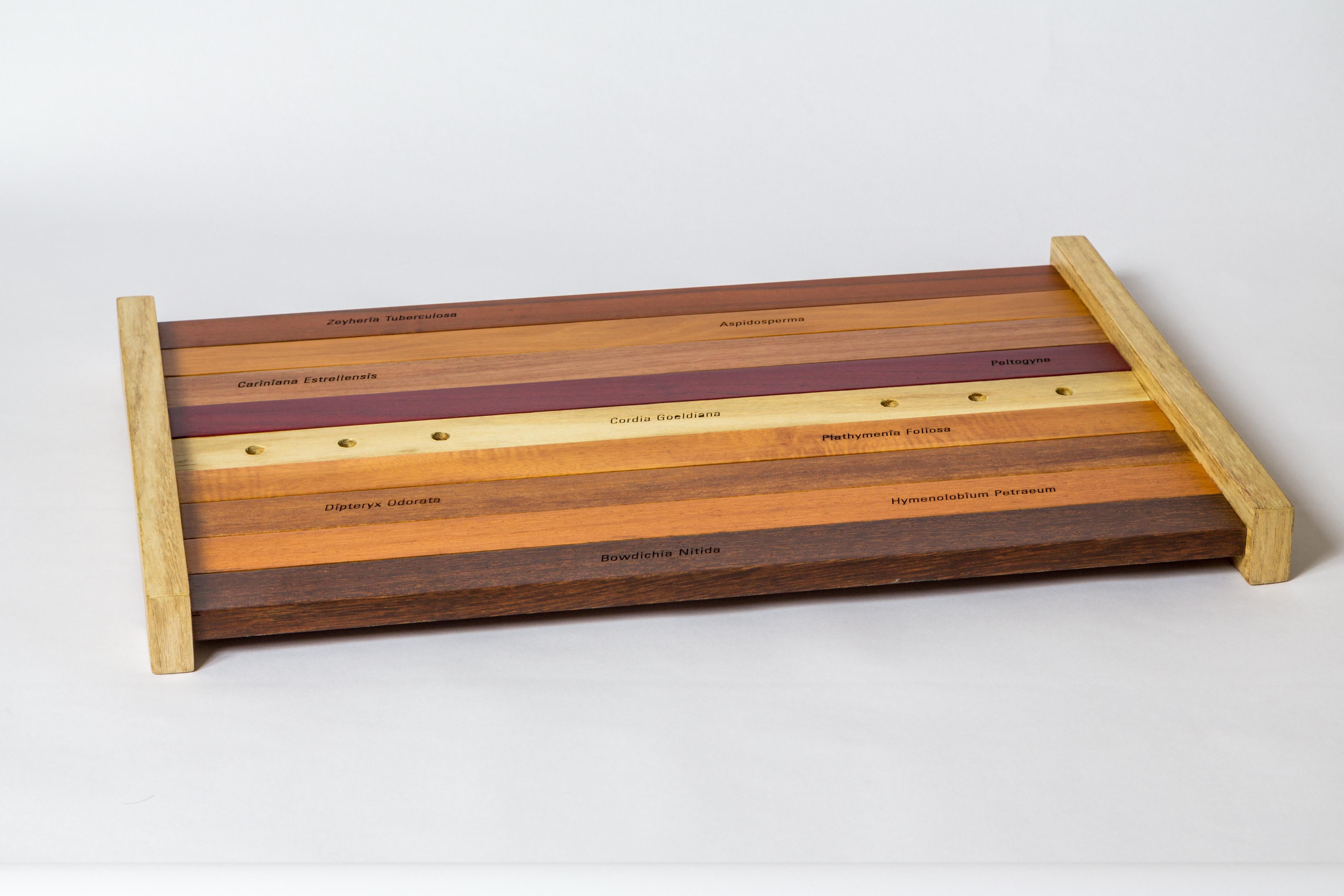 Contemporary Wooden Serving Tray in Brazilian Woods For Sale