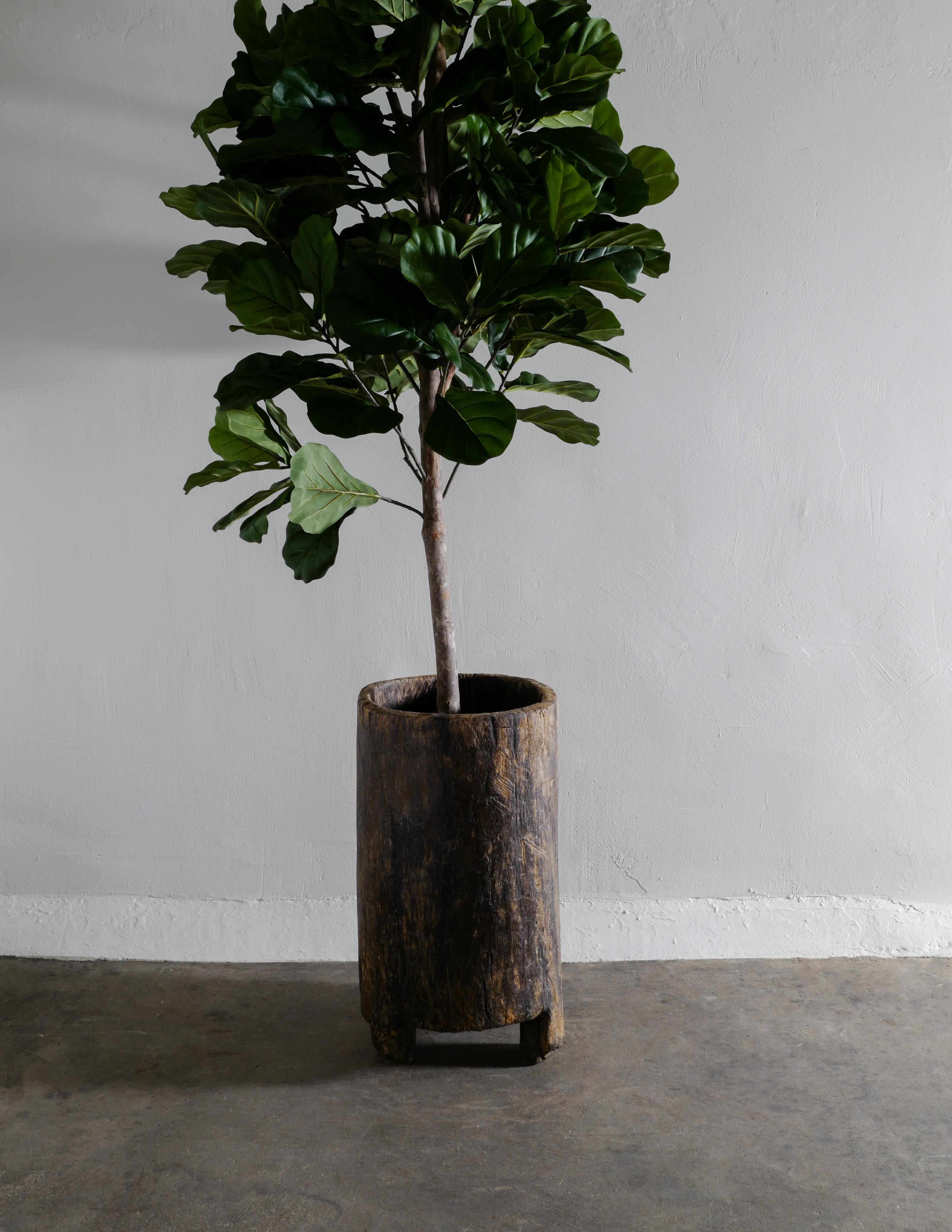 Indian Wooden Teak Primitive Naga Pot Barrel Planter in a Wabi Sabi Style, India