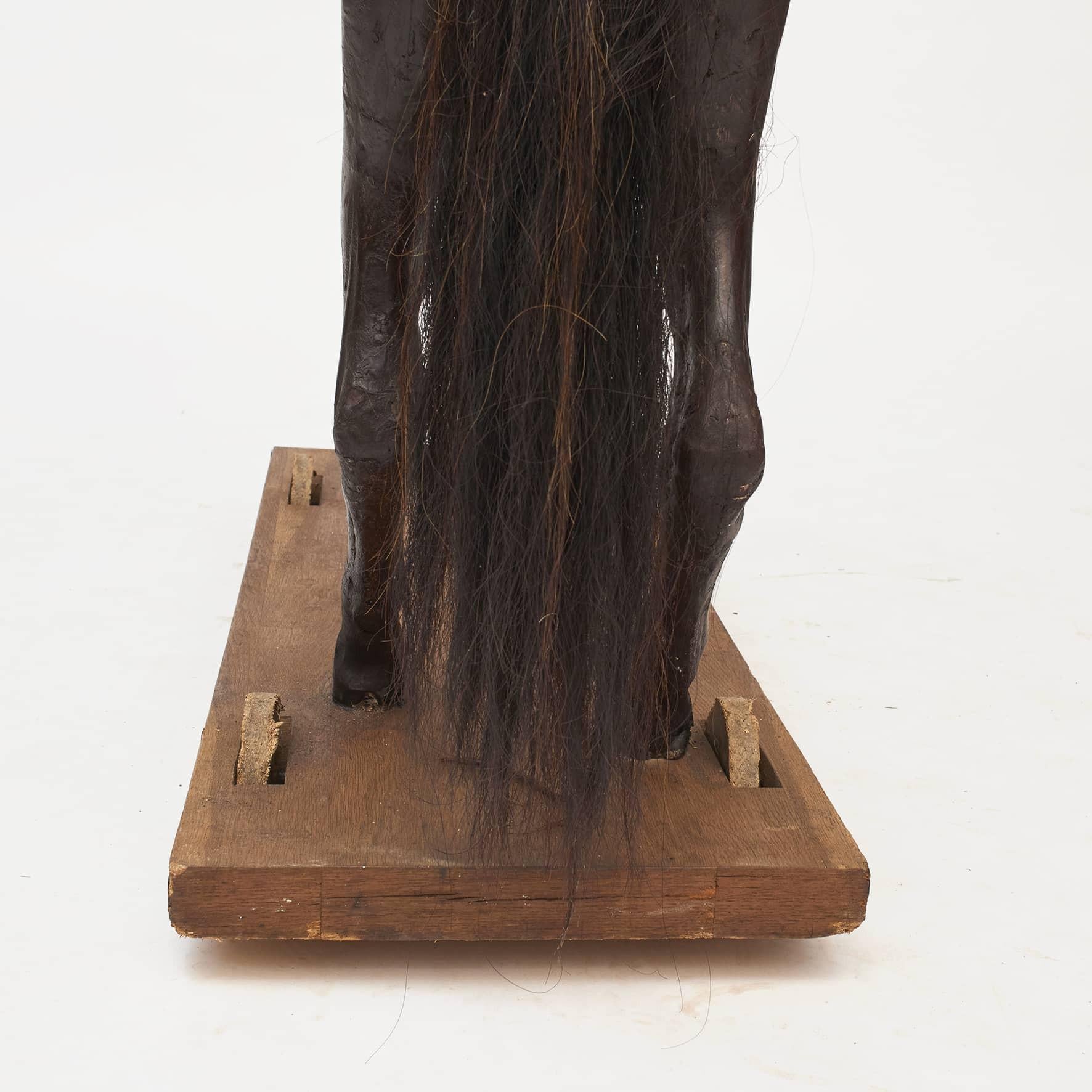 Cheval de manège 