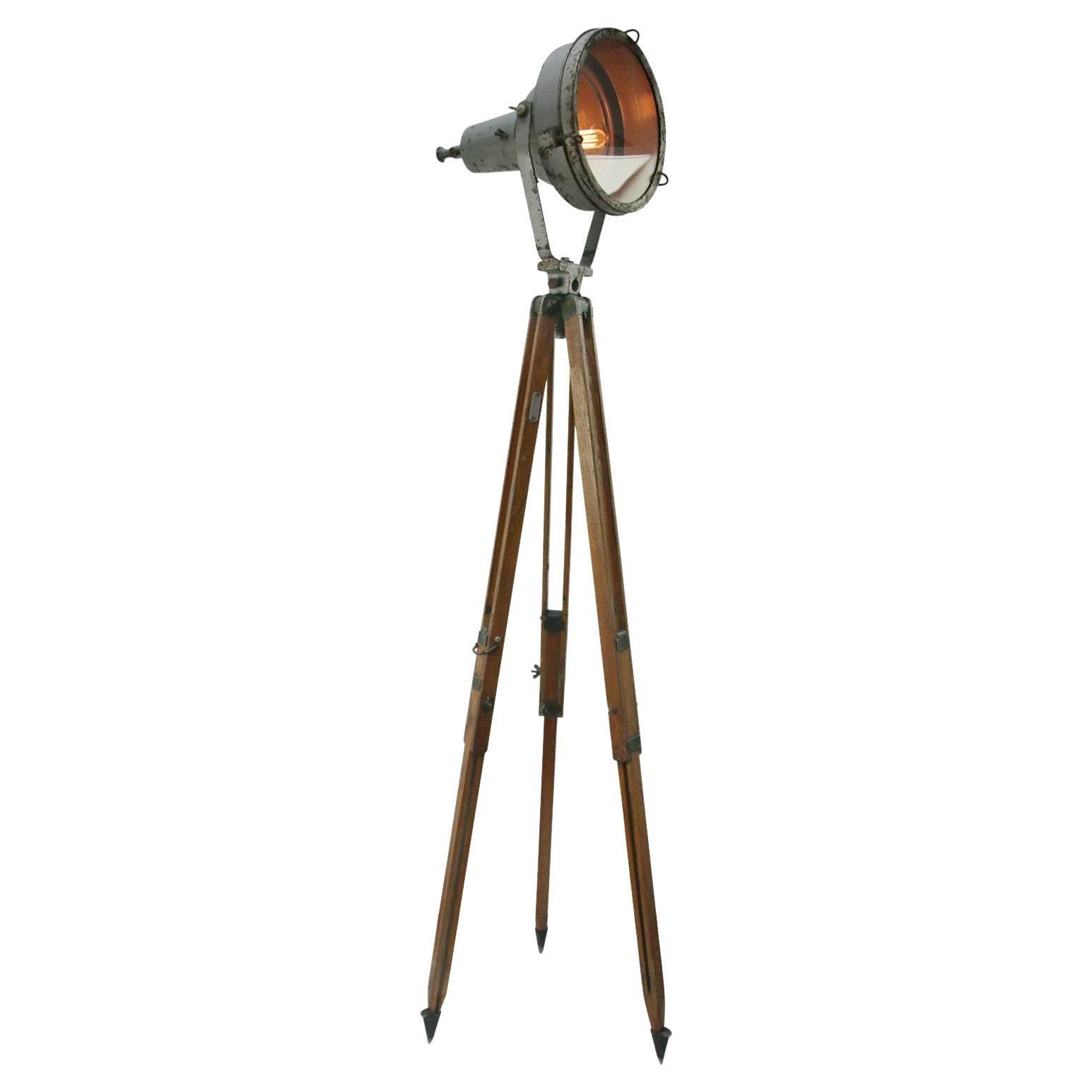 Grey Iron Vintage Industrial Clear Glass Wooden Spot Light Floor Lamp For Sale
