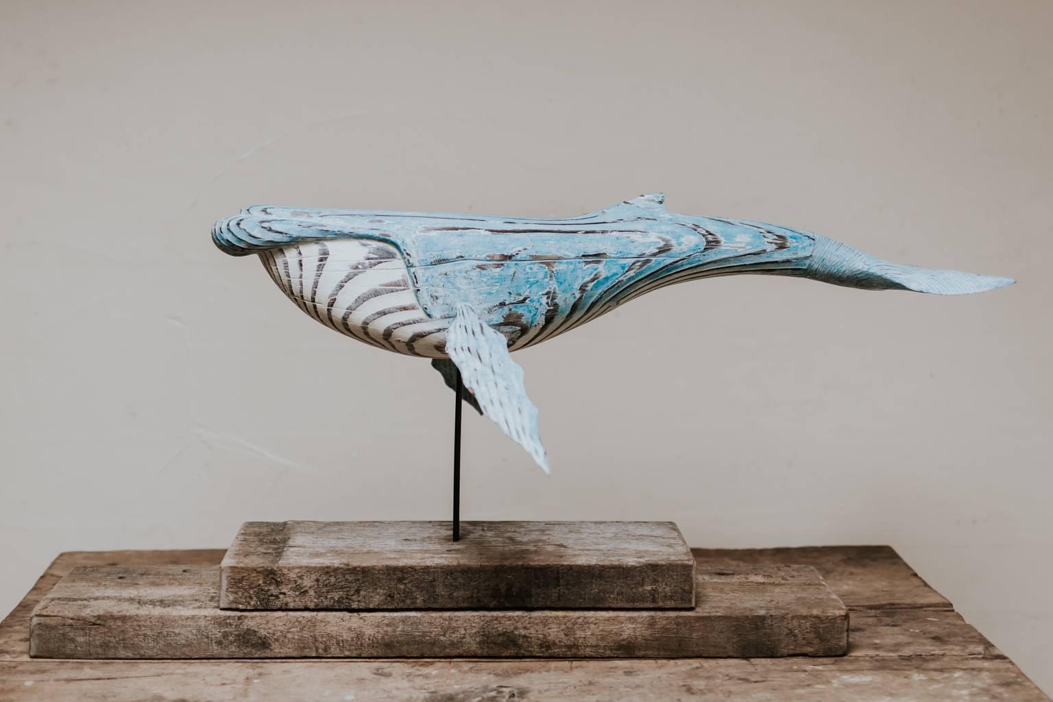whale automata