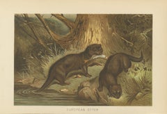 Woodland River Animal Print – Victorian Otter Scene, Earth Tone Artwork, 1894