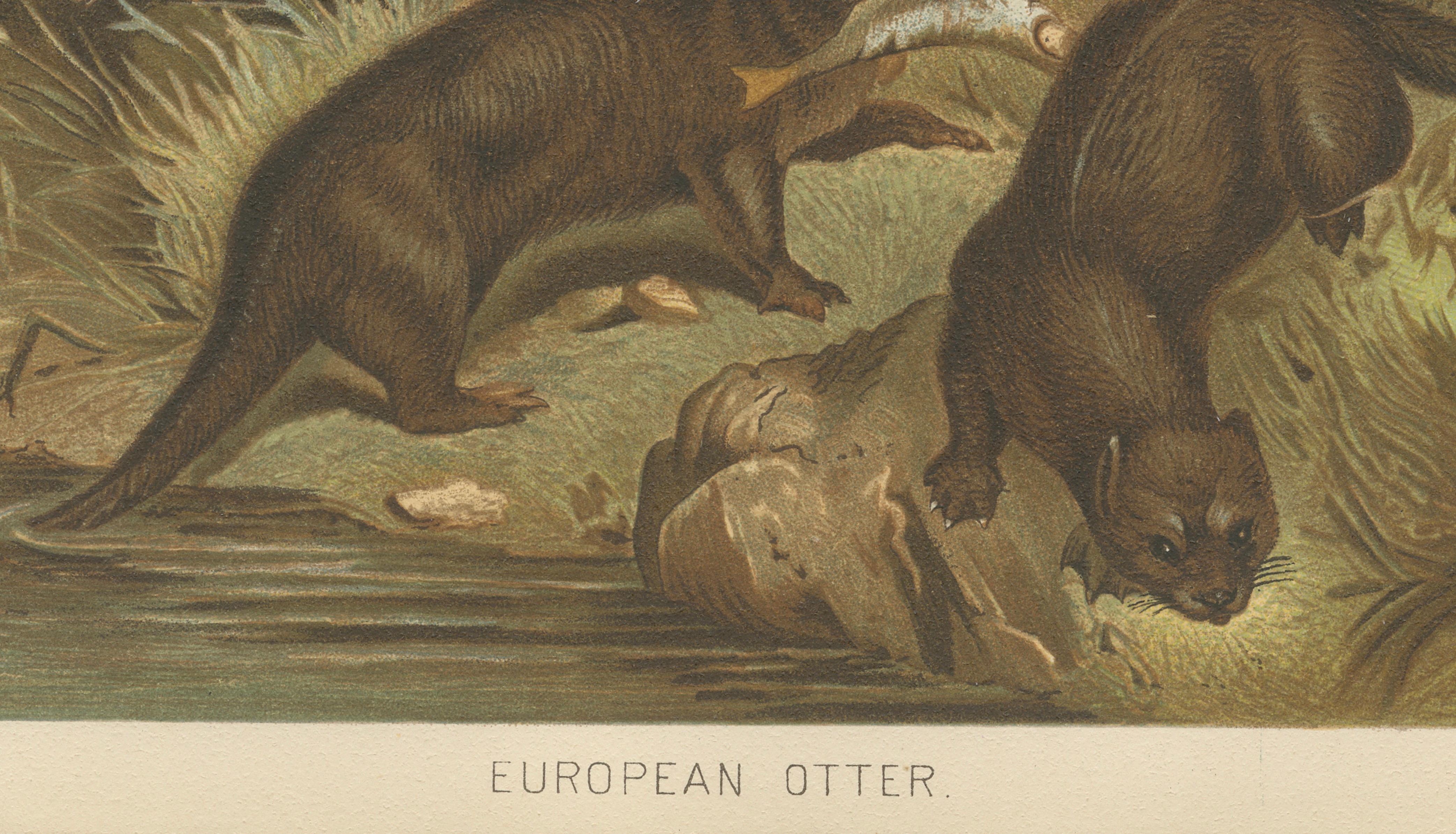 Woodland River Animal Print – Victorian Otter Scene, Earth Tone Artwork, 1894
