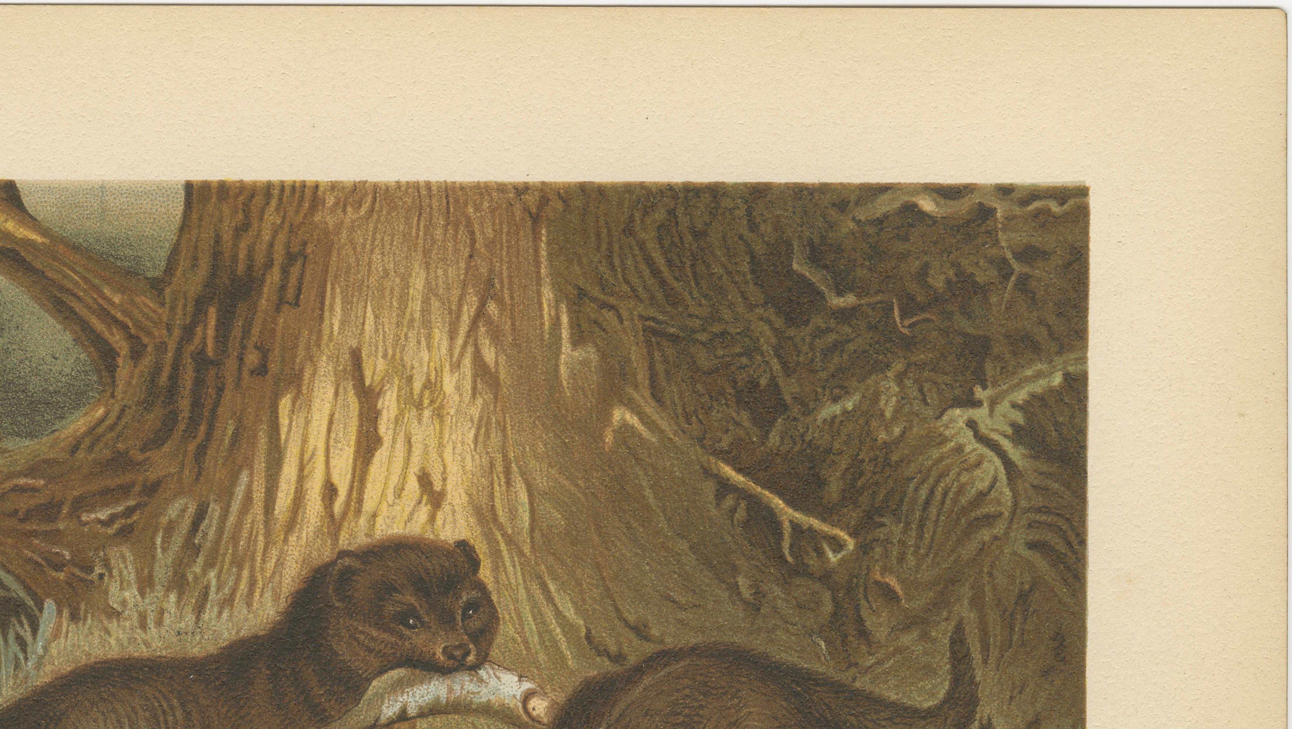 Woodland River Animal Print – Victorian Otter Scene, Earth Tone Artwork, 1894