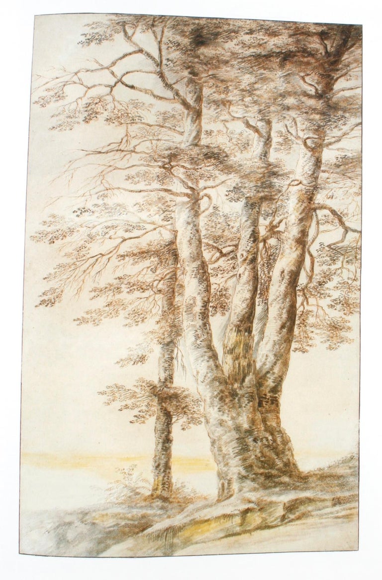 Woodner Collection Master Drawings, Exhibition Press Copy with Original