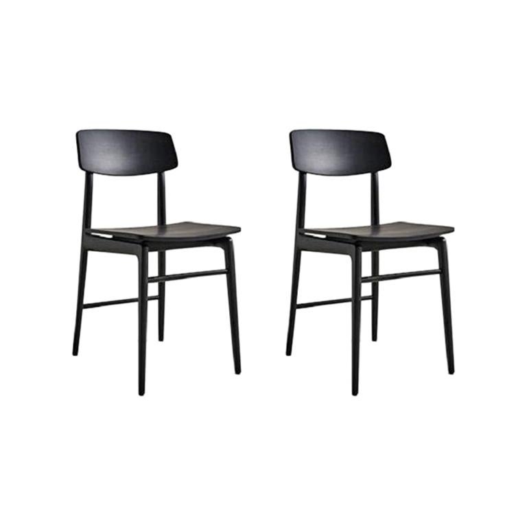 Chairs in black Wood Molteni&C by Francesco Meda - Woody set of 2 For Sale